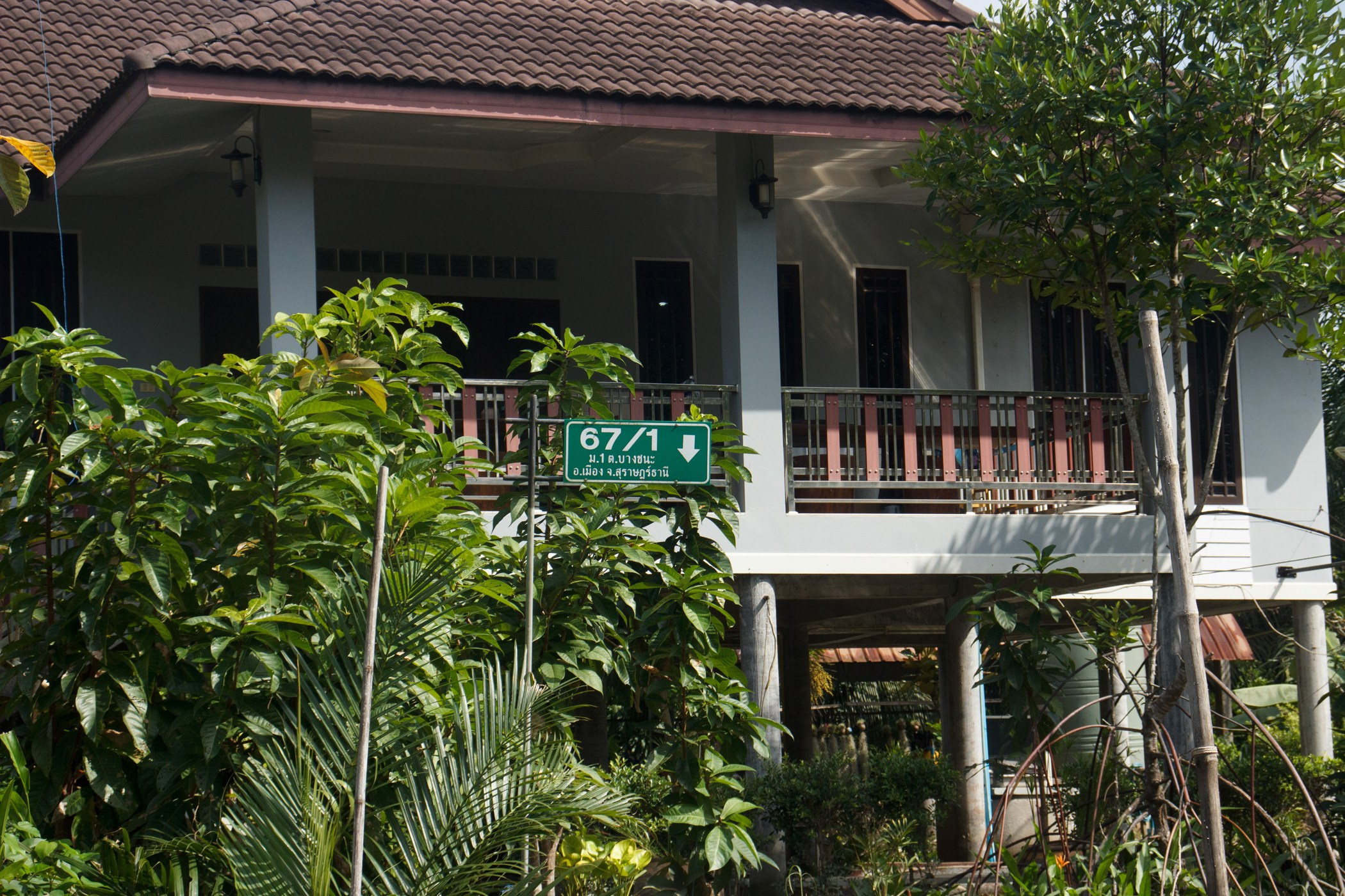 Сураттхани. Photographer in Phuket