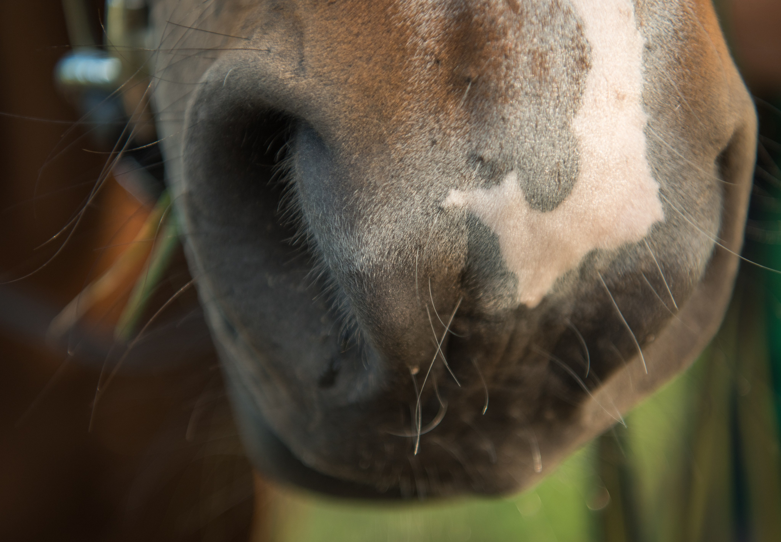 Ирина. Фотограф Юлия Исаева