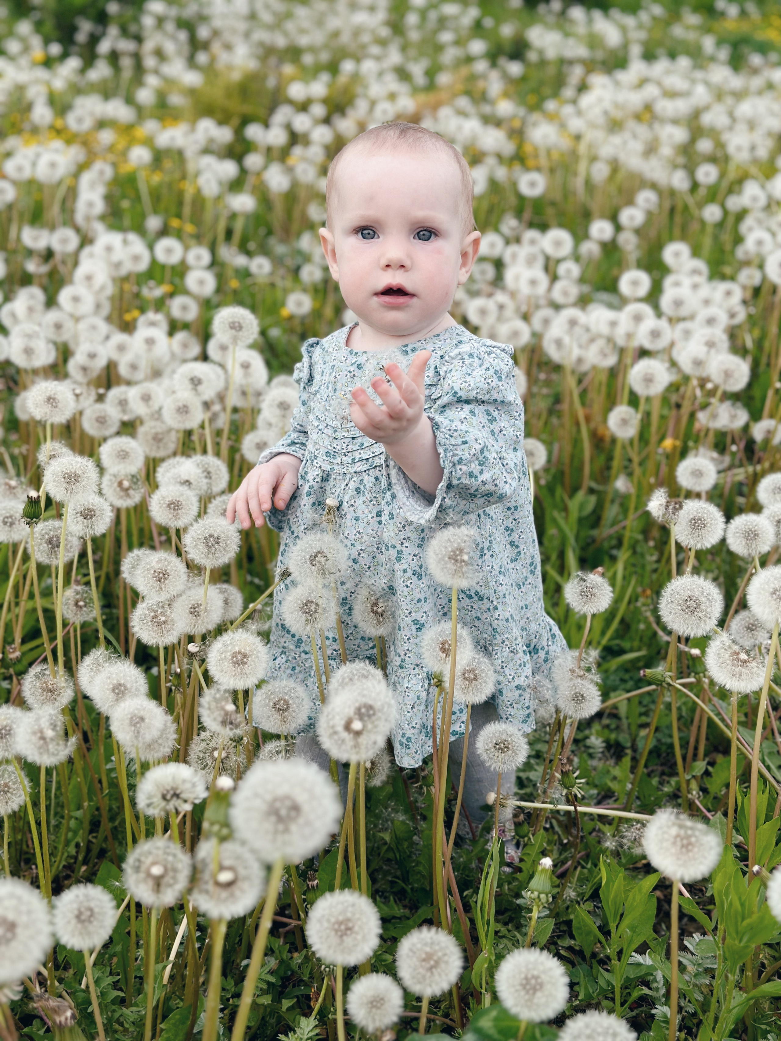 Дети. Семейный фотограф и видеограф. Москва