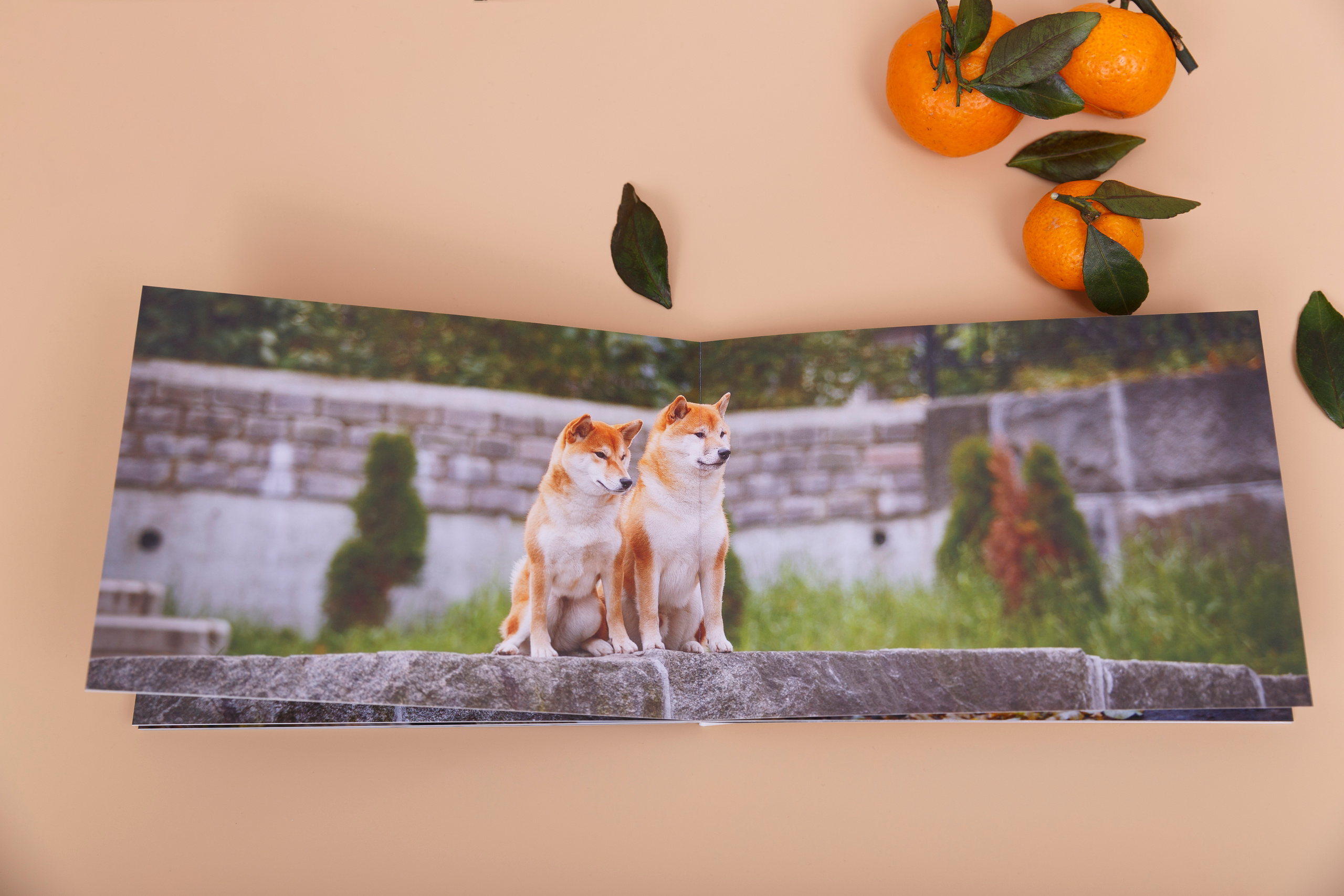 Минибук 18х13. Матовая бумага. Мягкая обложка.