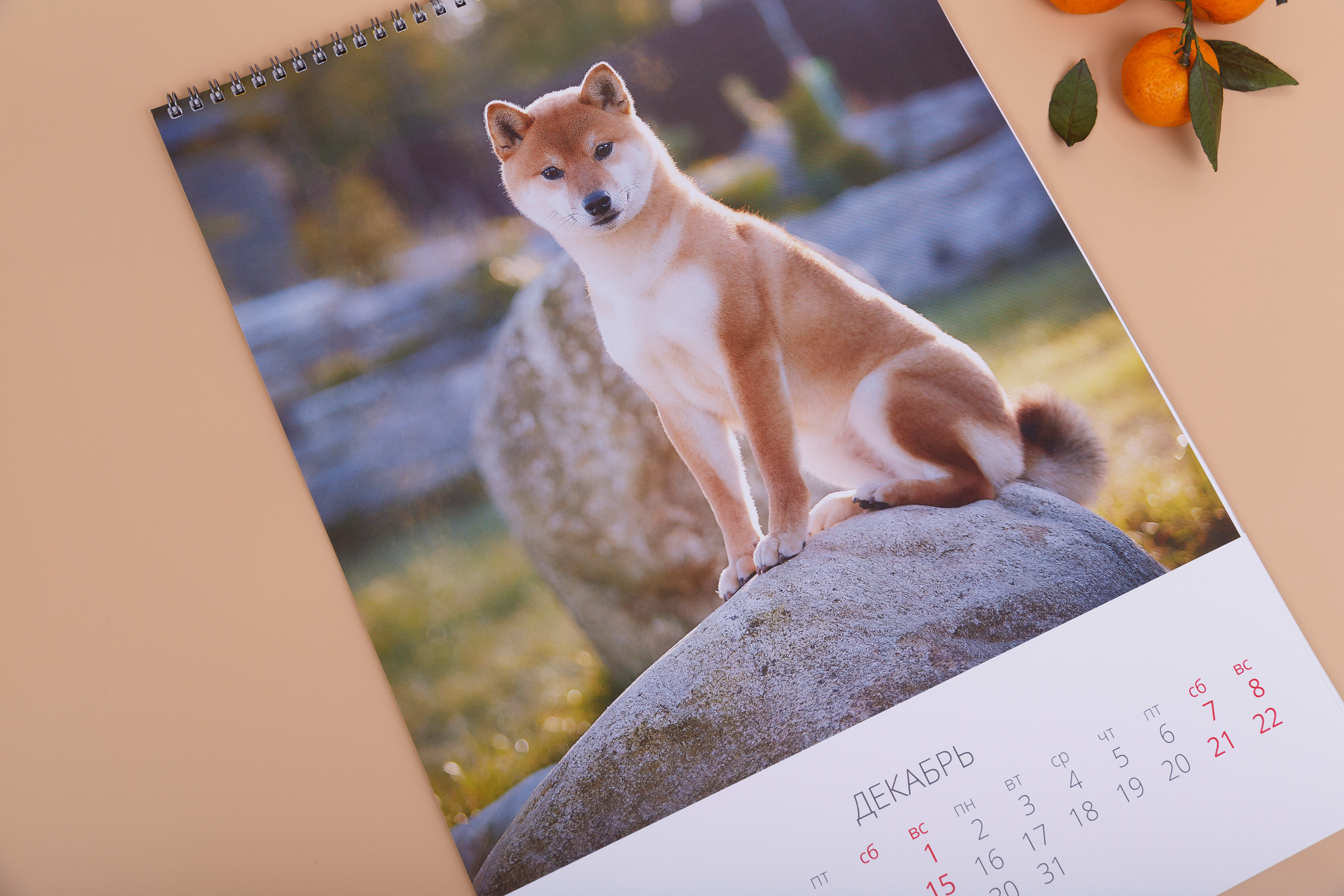 Календарь А3. Перекидной
Для питомника американской акиты и сиба-ину RUBYLIGHT3. Перекидной