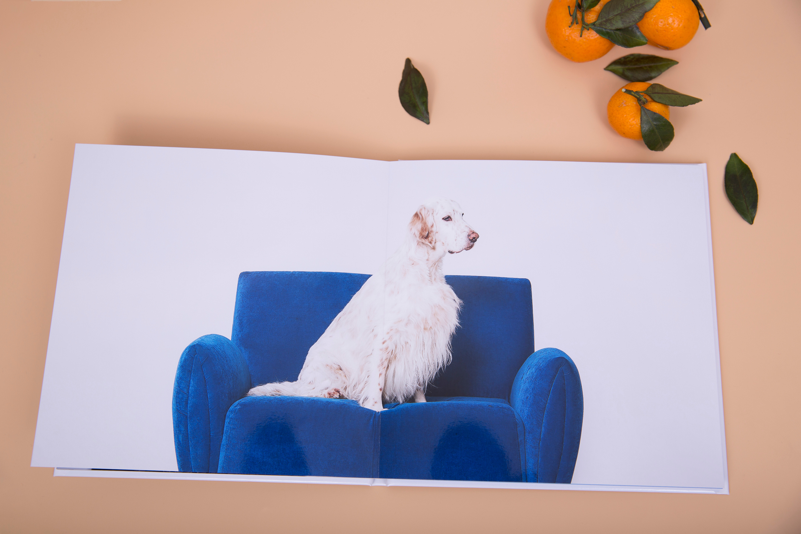 Альбом 20х20 см. Глянцевая бумага. Твердая обложка.