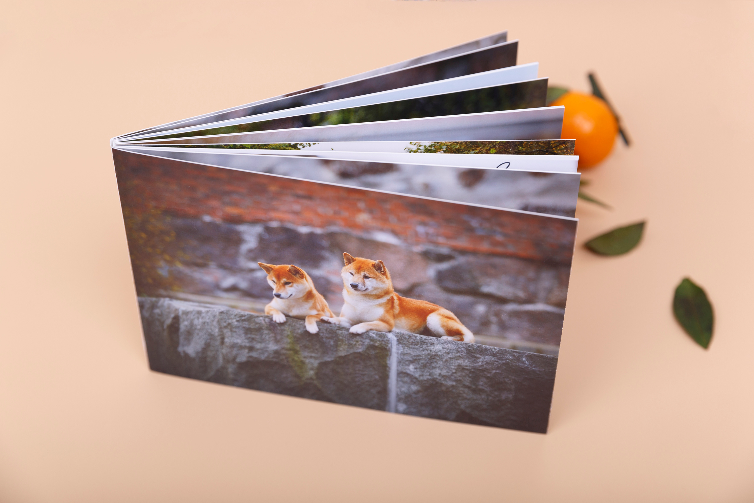 Минибук 18х13. Матовая бумага. Мягкая обложка.