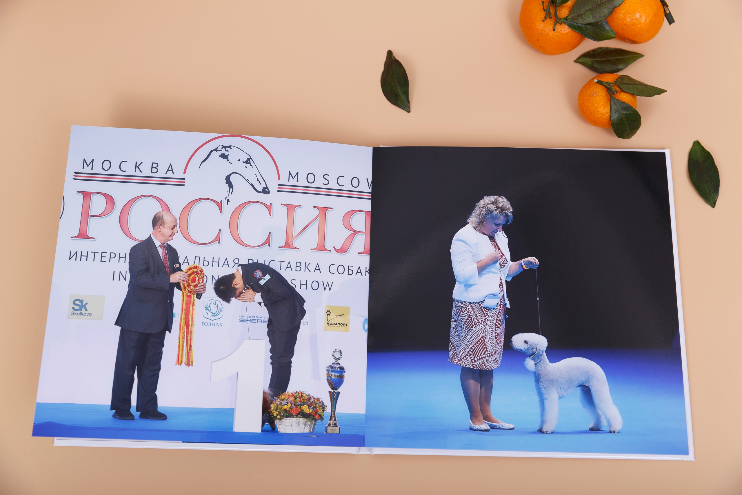 Альбом 20х20 см. Глянцевая бумага. Твердая обложка.