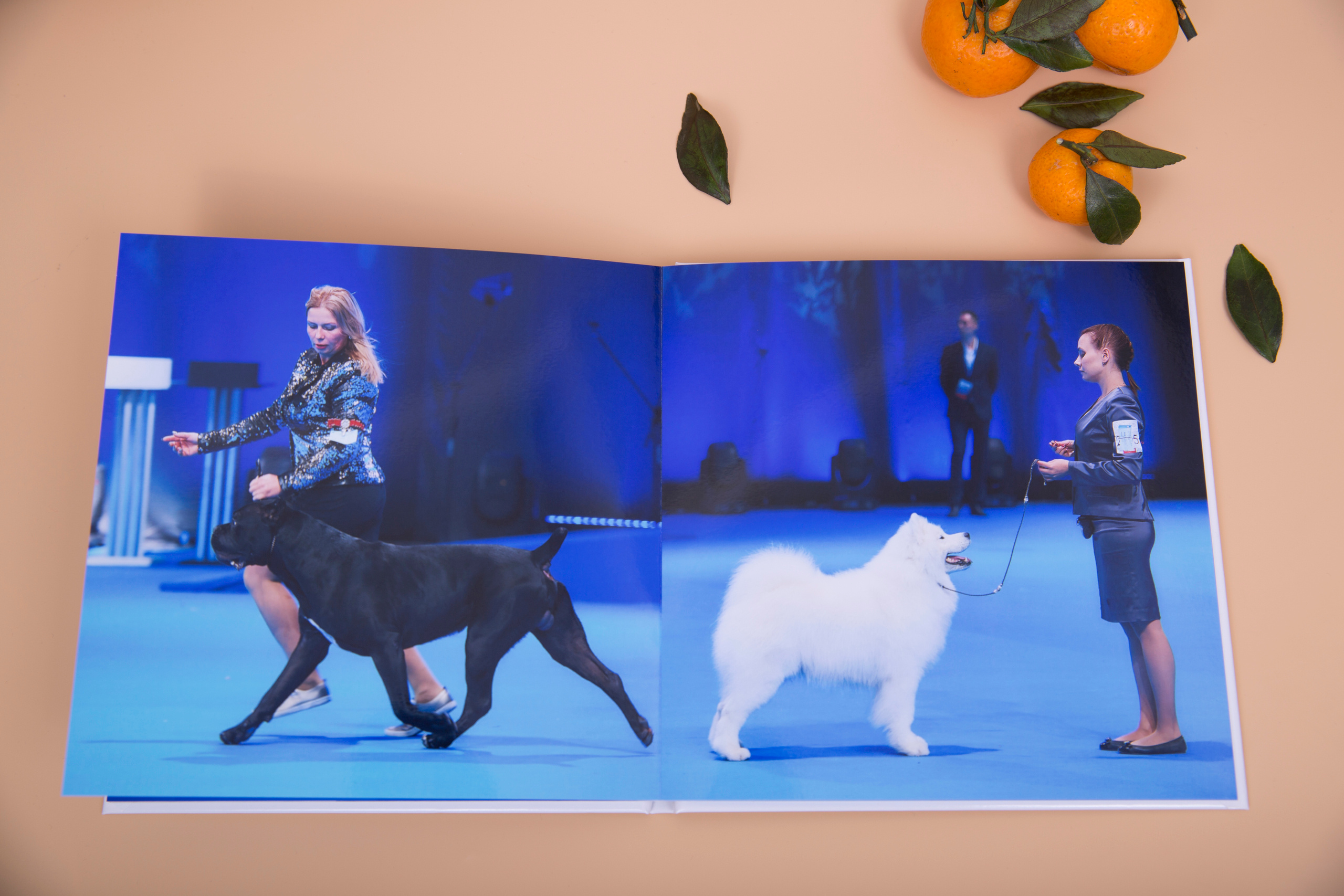 Альбом 20х20 см. Глянцевая бумага. Твердая обложка.