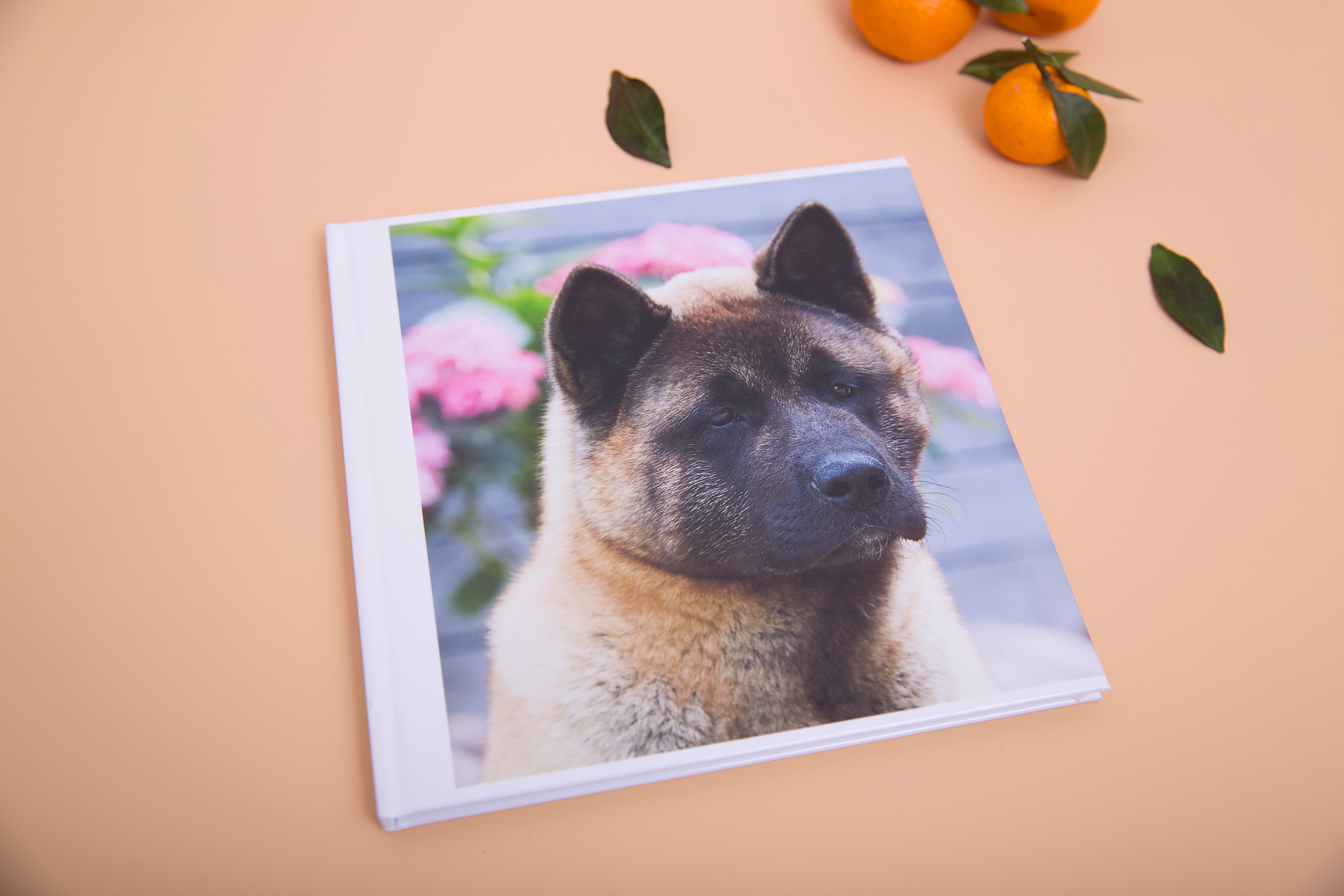 Альбом 20х20 см. Глянцевая бумага. Твердая обложка.