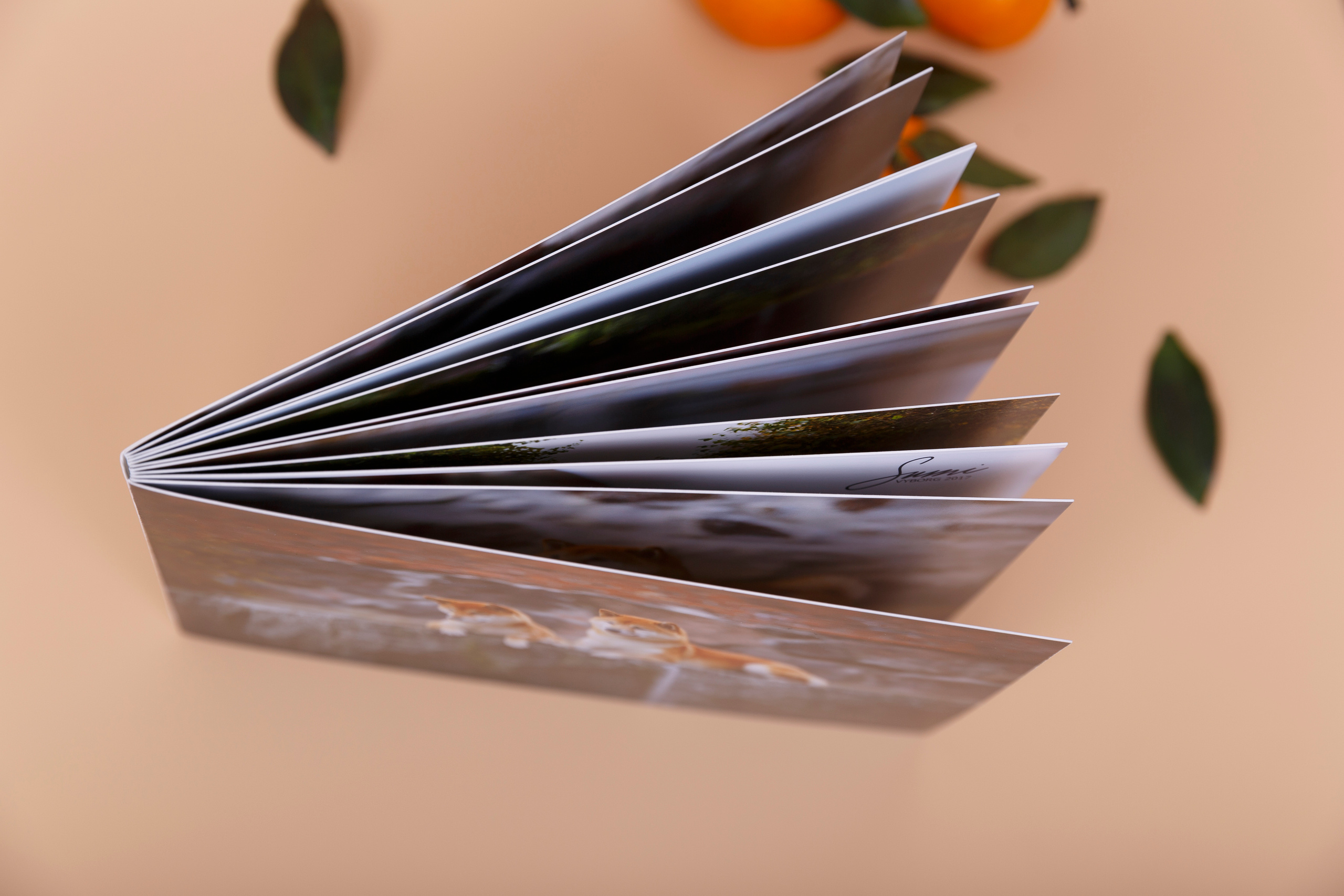 Минибук 18х13. Матовая бумага. Мягкая обложка.