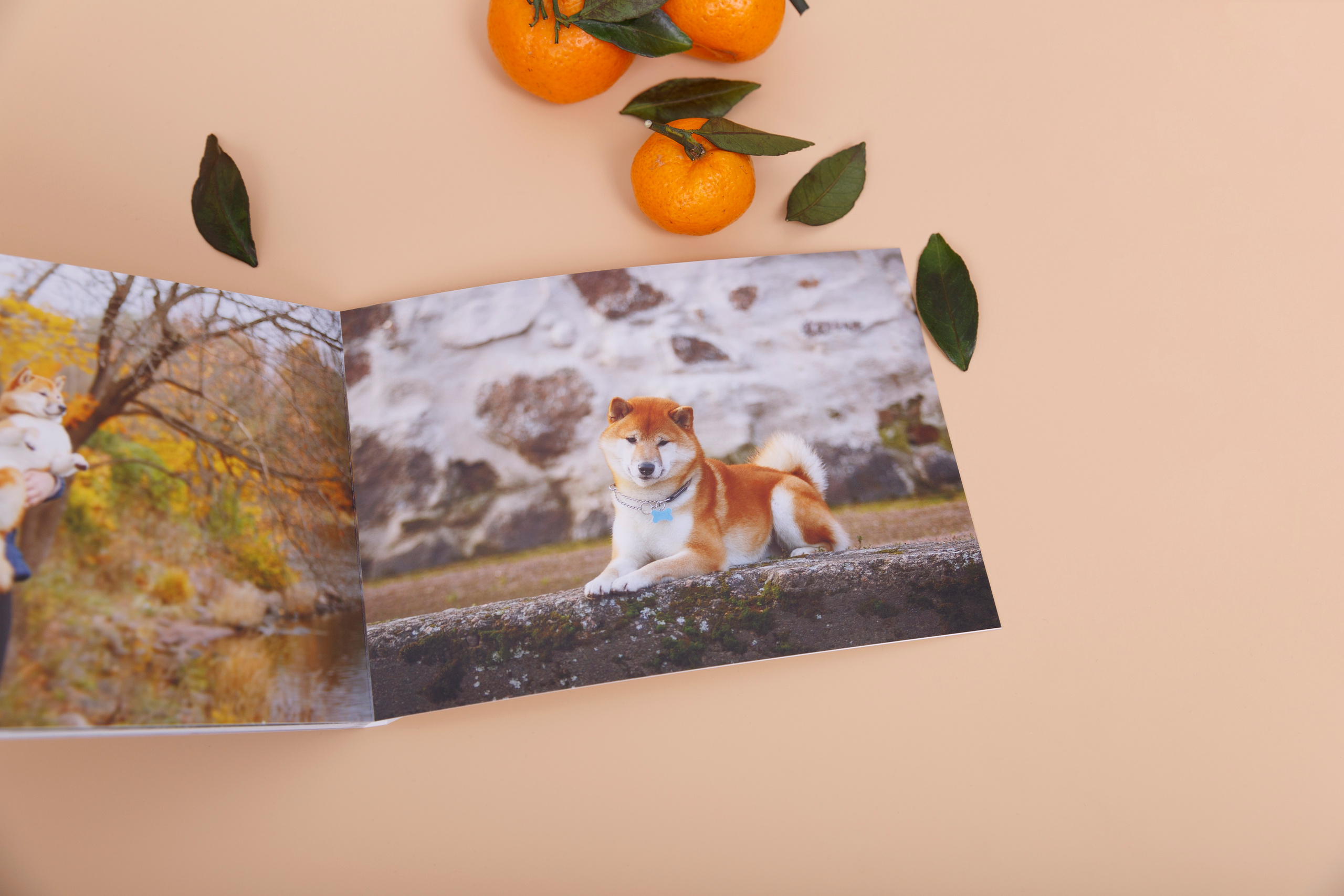 Минибук 18х13. Матовая бумага. Мягкая обложка.