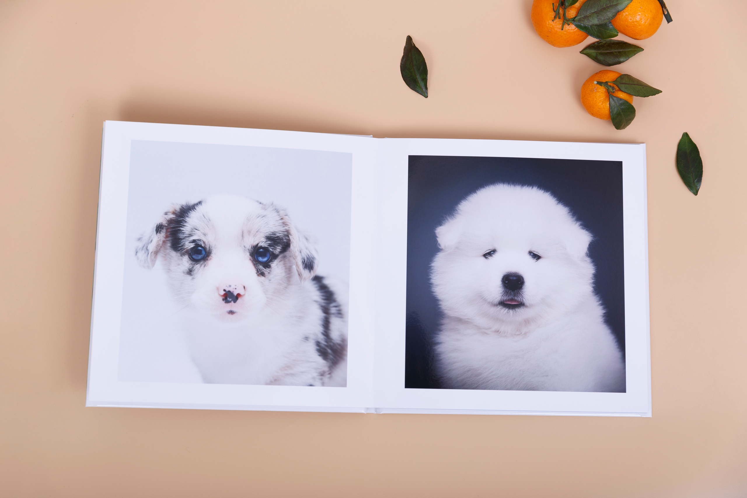 Альбом 20х20 см. Глянцевая бумага. Твердая обложка.