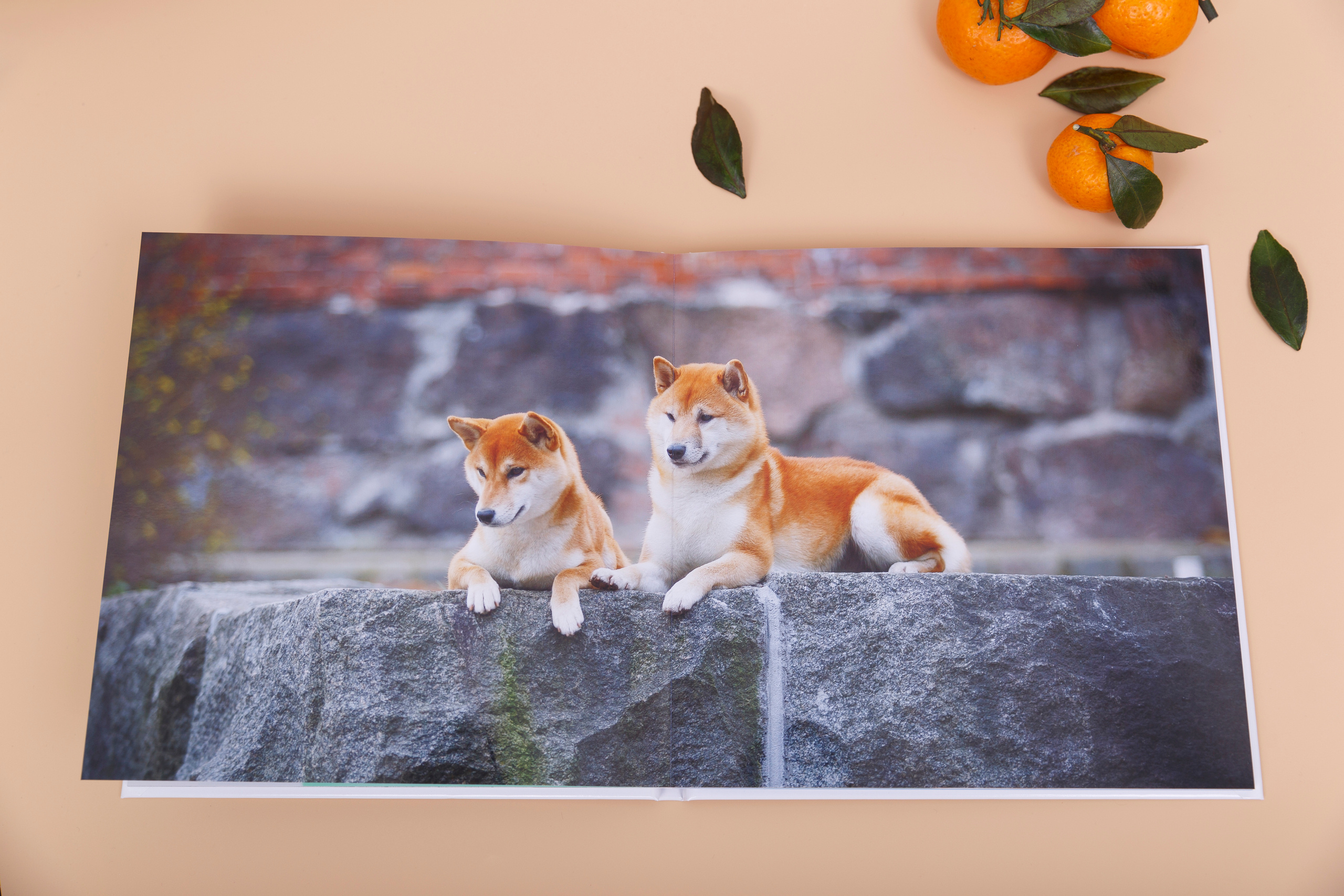 Альбом 20х20 см. Глянцевая бумага. Твердая обложка.