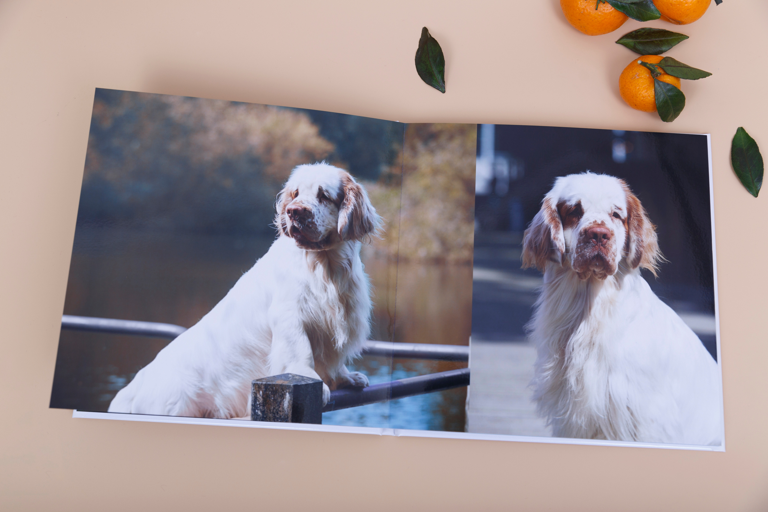 Альбом 20х20 см. Глянцевая бумага. Твердая обложка.