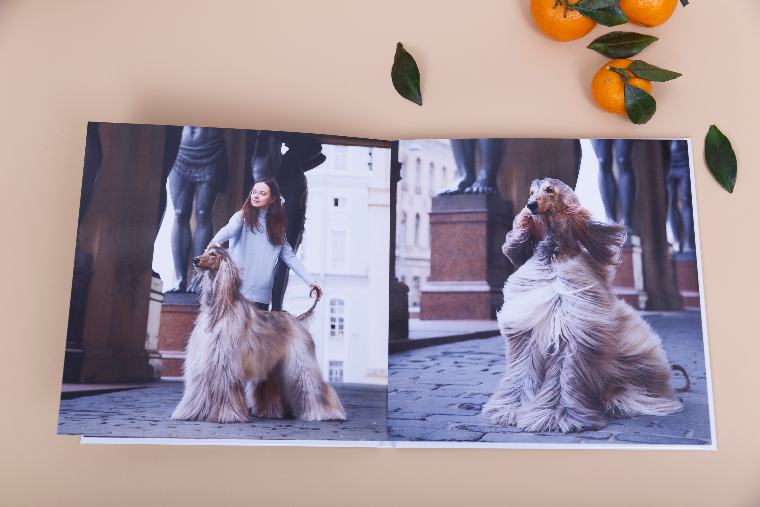 Альбом 20х20 см. Глянцевая бумага. Твердая обложка.