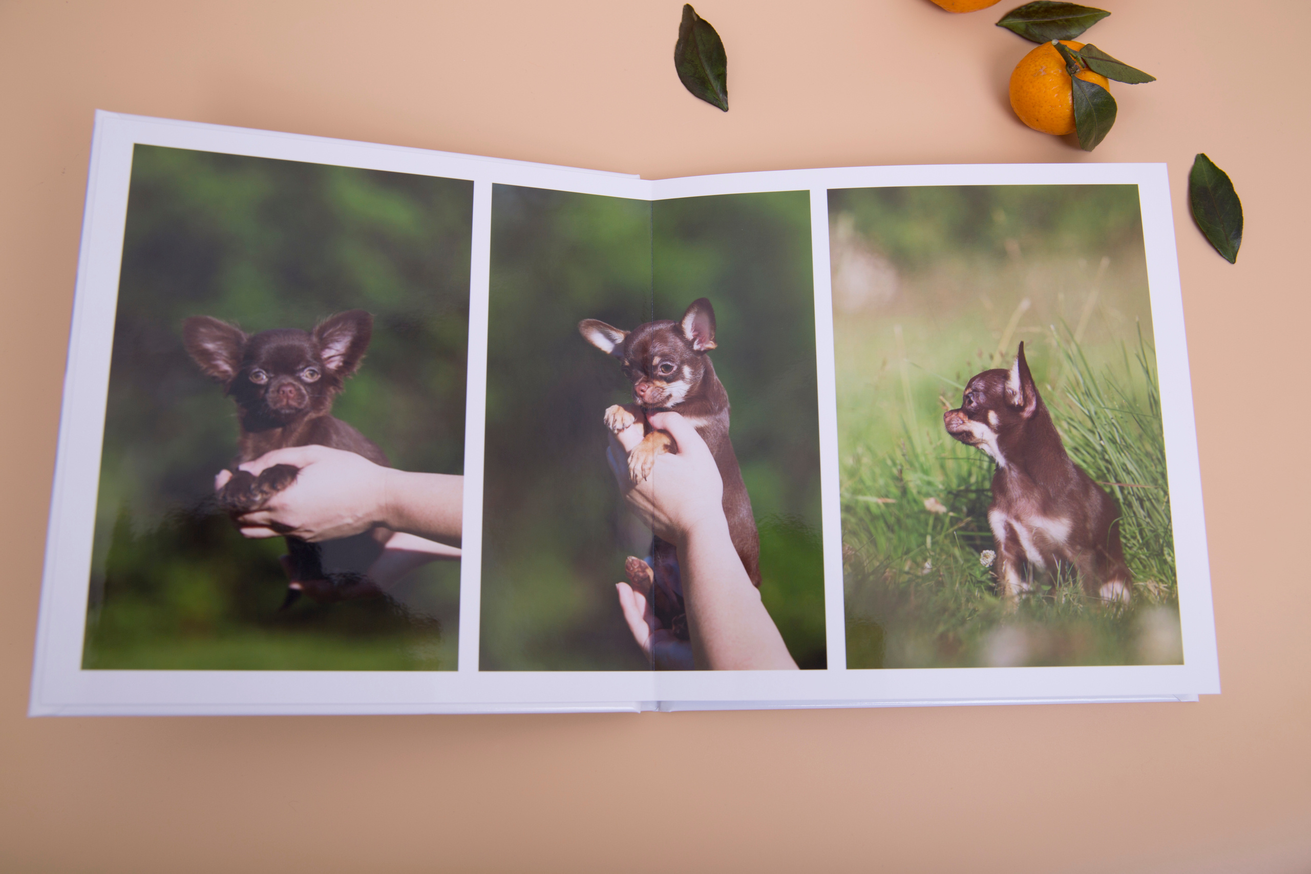 Альбом 20х20 см. Глянцевая бумага. Твердая обложка.