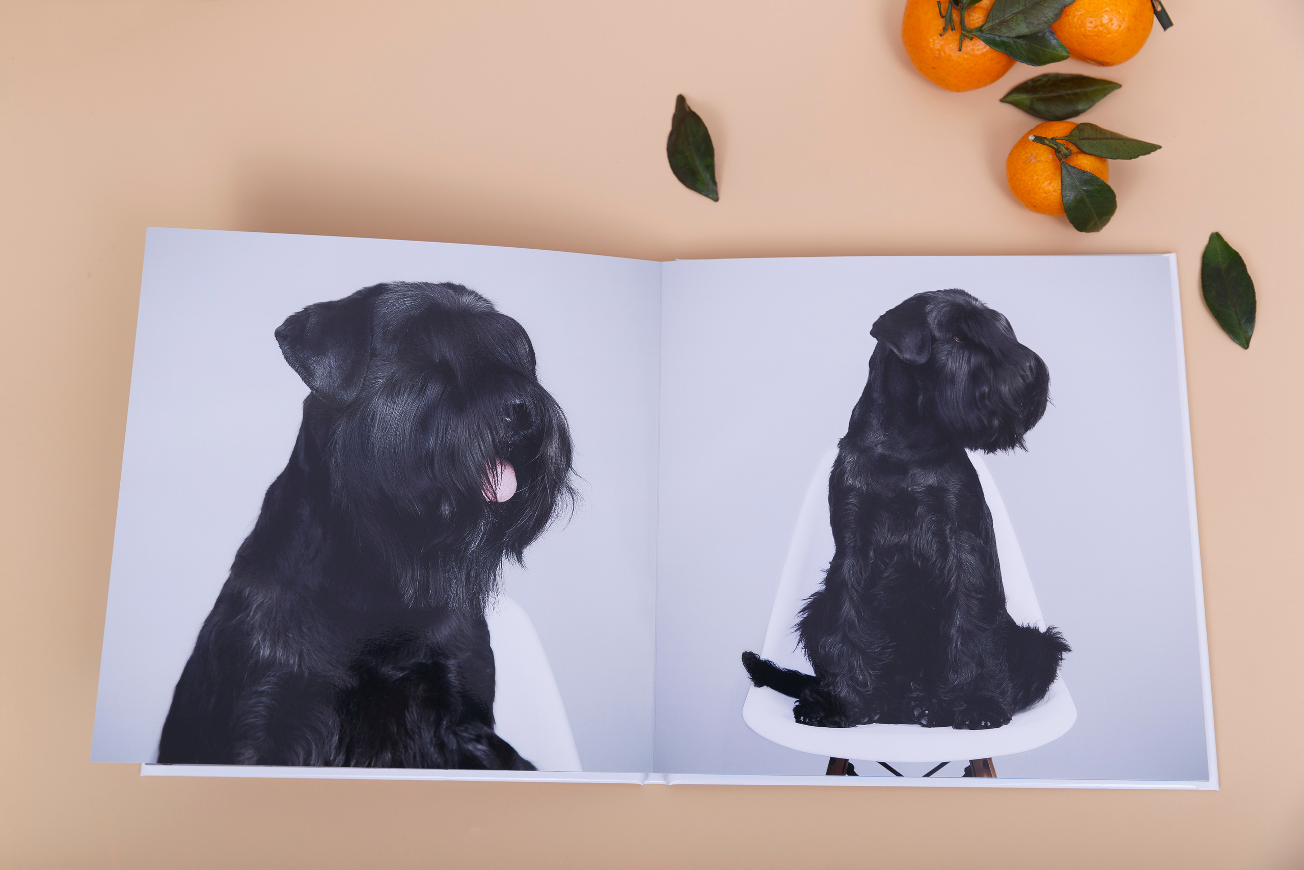 Альбом 20х20 см. Глянцевая бумага. Твердая обложка.