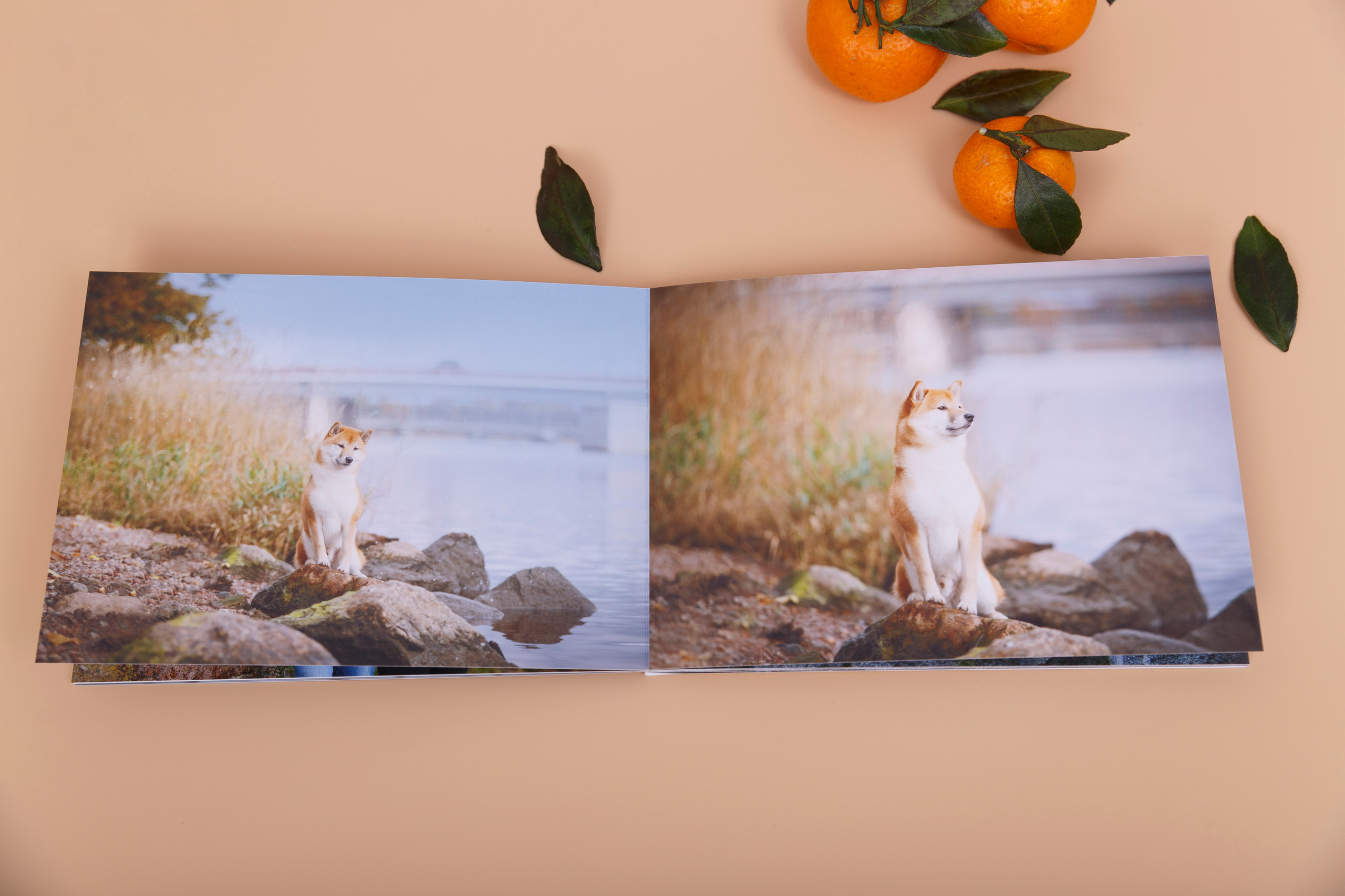 Минибук 18х13. Матовая бумага. Мягкая обложка.