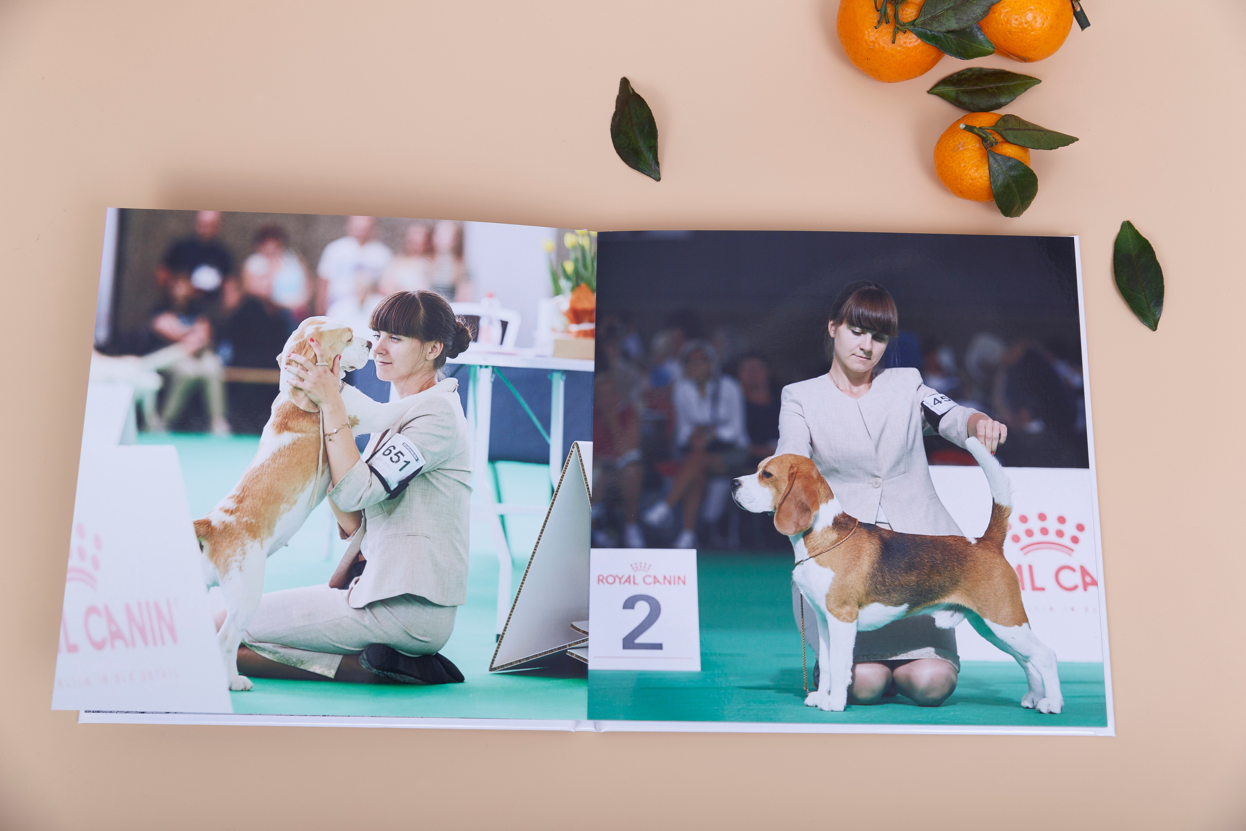 Альбом 20х20 см. Глянцевая бумага. Твердая обложка.