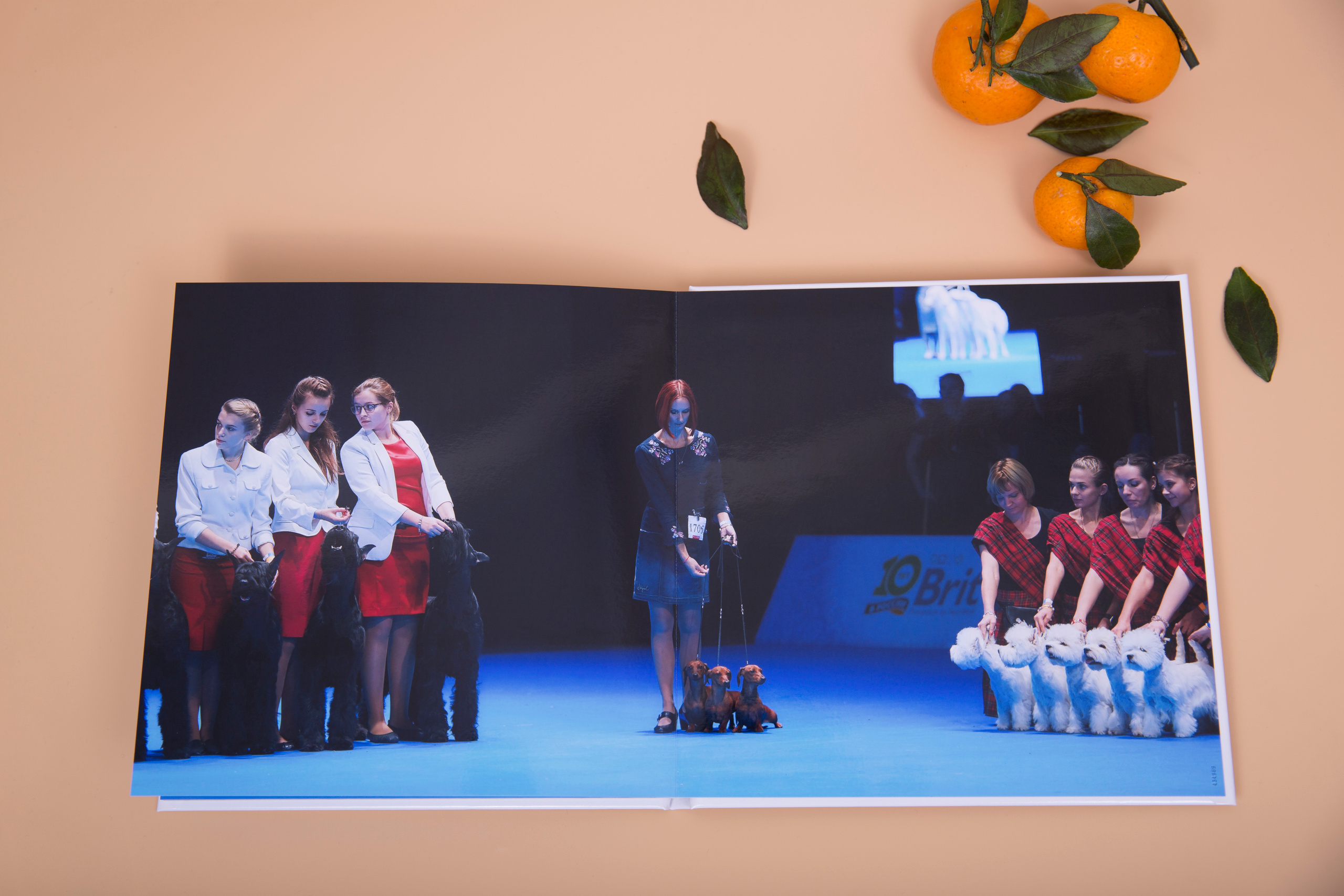 Альбом 20х20 см. Глянцевая бумага. Твердая обложка.