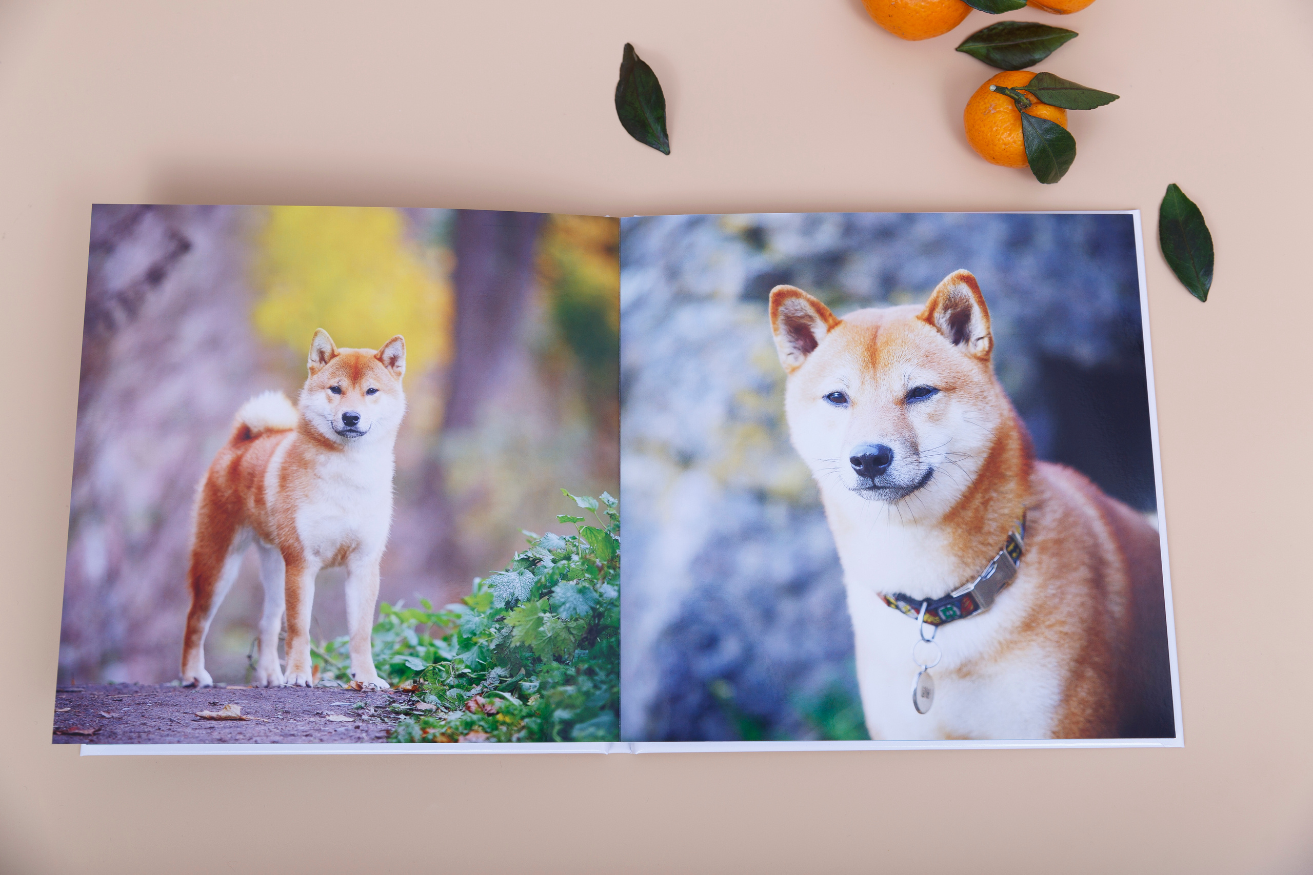 Альбом 20х20 см. Глянцевая бумага. Твердая обложка.