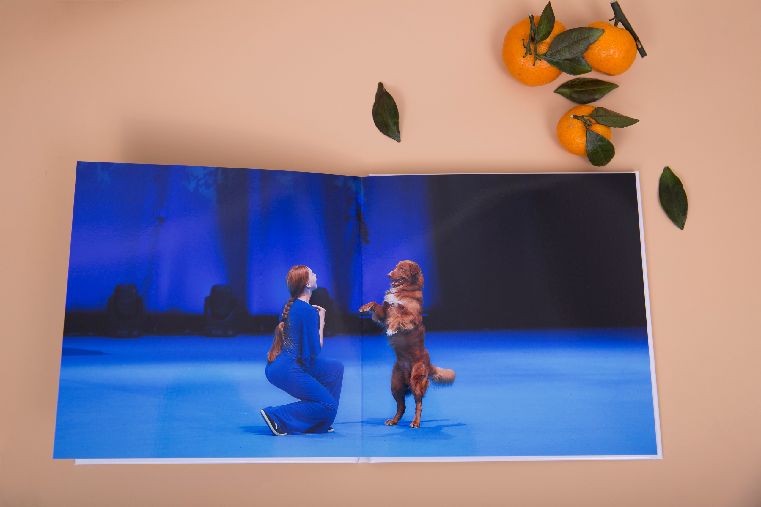 Альбом 20х20 см. Глянцевая бумага. Твердая обложка.