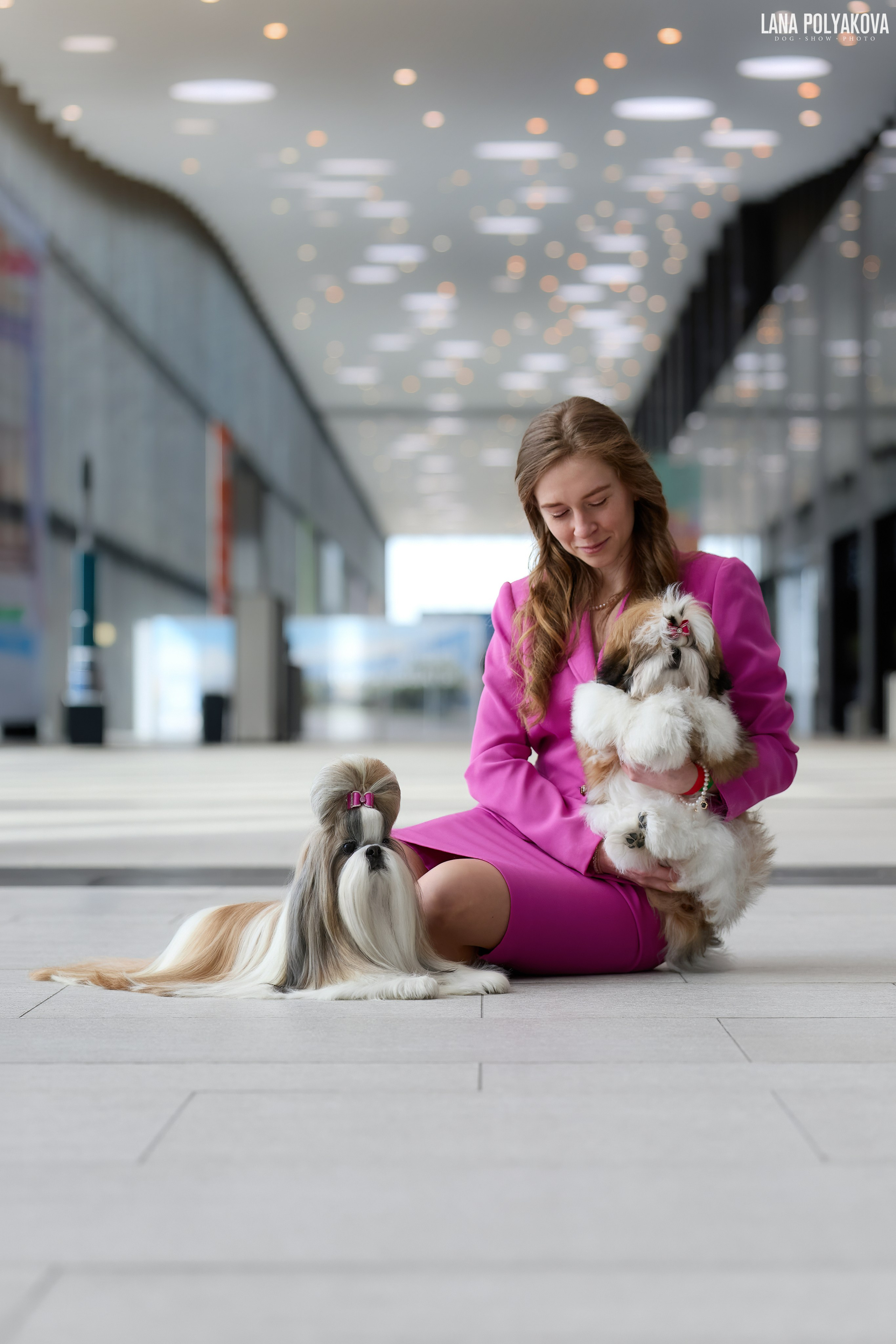 ГРАН ПРИ ВЕСЕННИЙ ПЕТЕРБУРГ 2026. ФОТОГРАФ-АНИМАЛИСТ l LANA POLYAKOVA