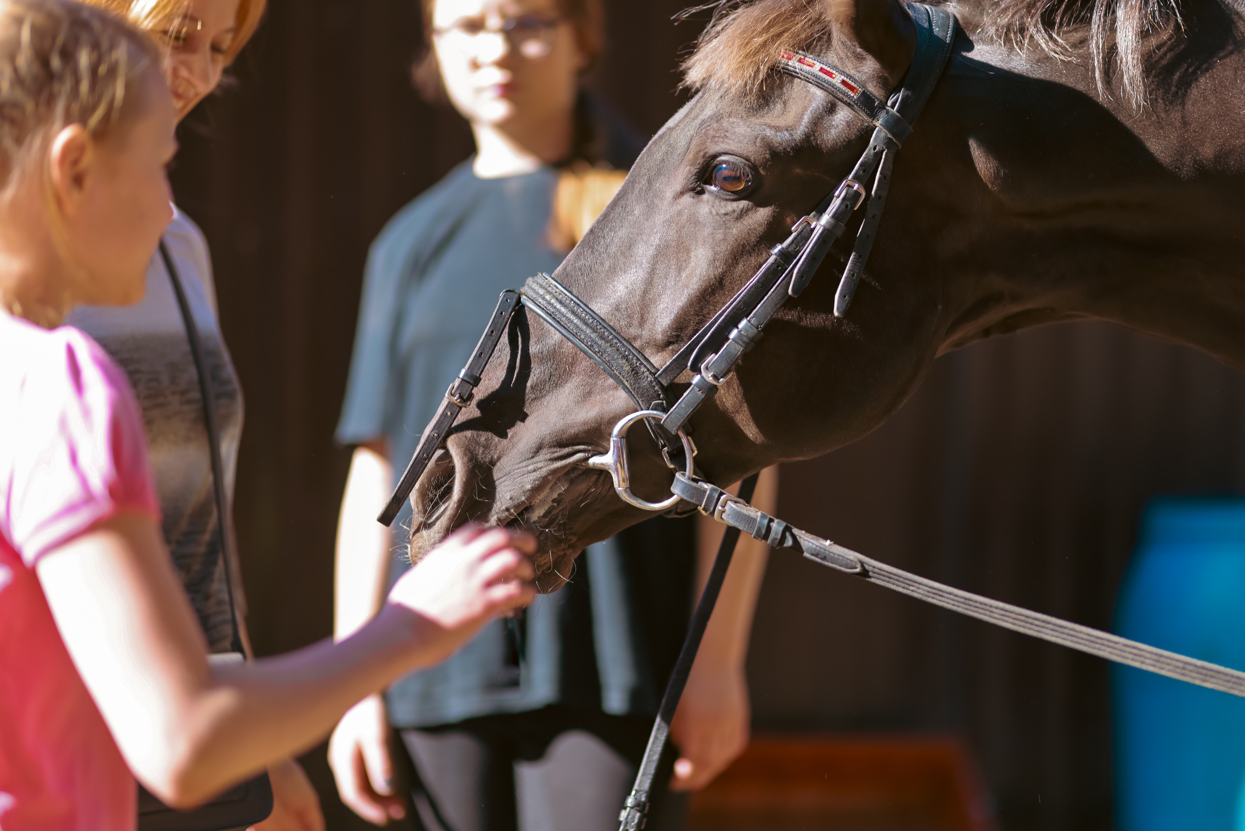 Корпоратив на конюшне. Фотограф репортажей и стритфотосессий в Москве Людмила Смирнова