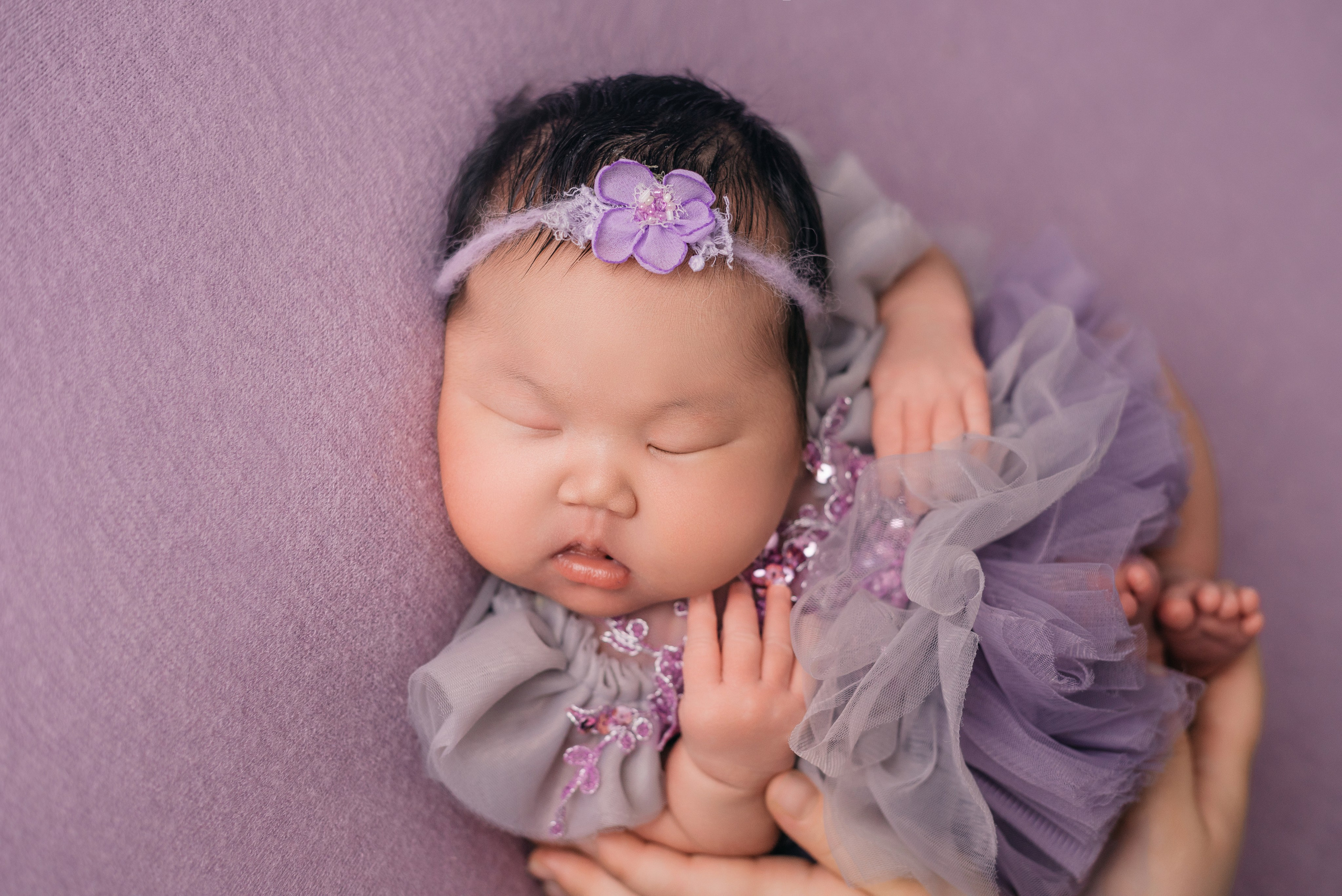 Ангелина. Фотограф новорожденных Белгород