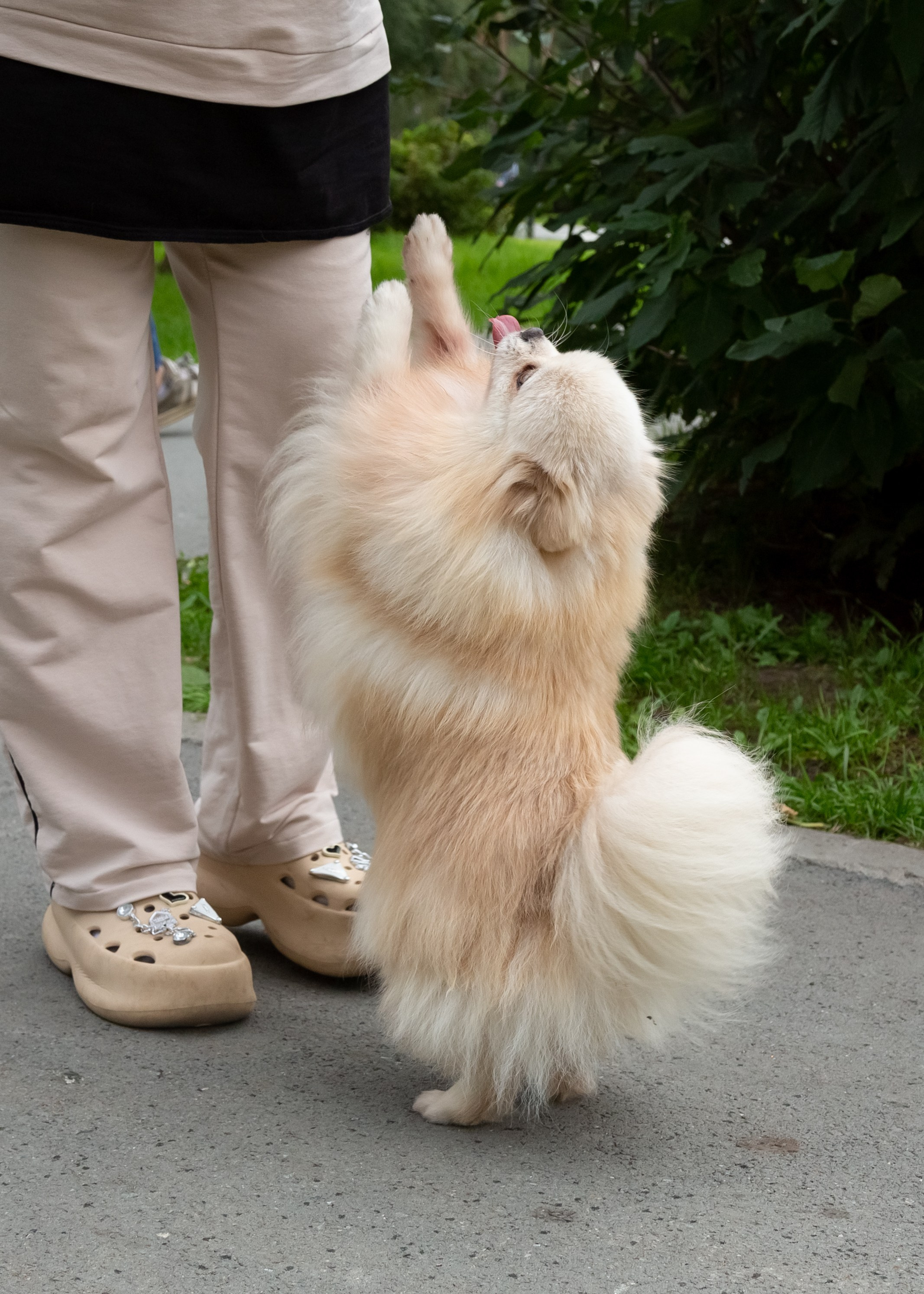 Фотосессия с животными. Фотограф в Барнауле Татьяна Чурикова