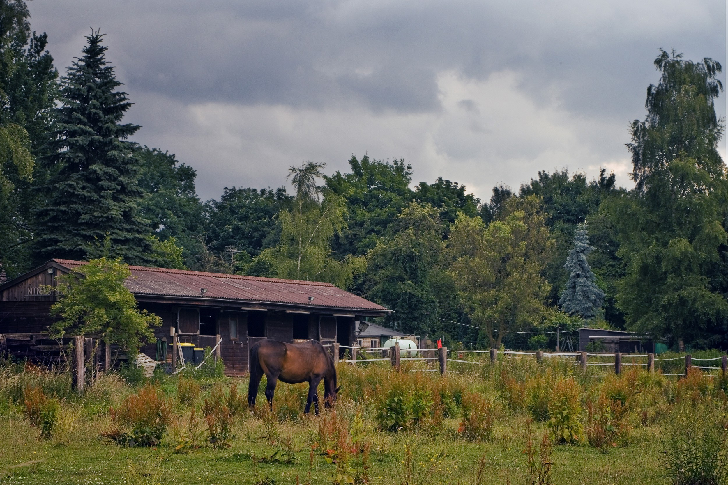 Пейзаж, природа. Портретный фотограф Станислав Жуков | Москва