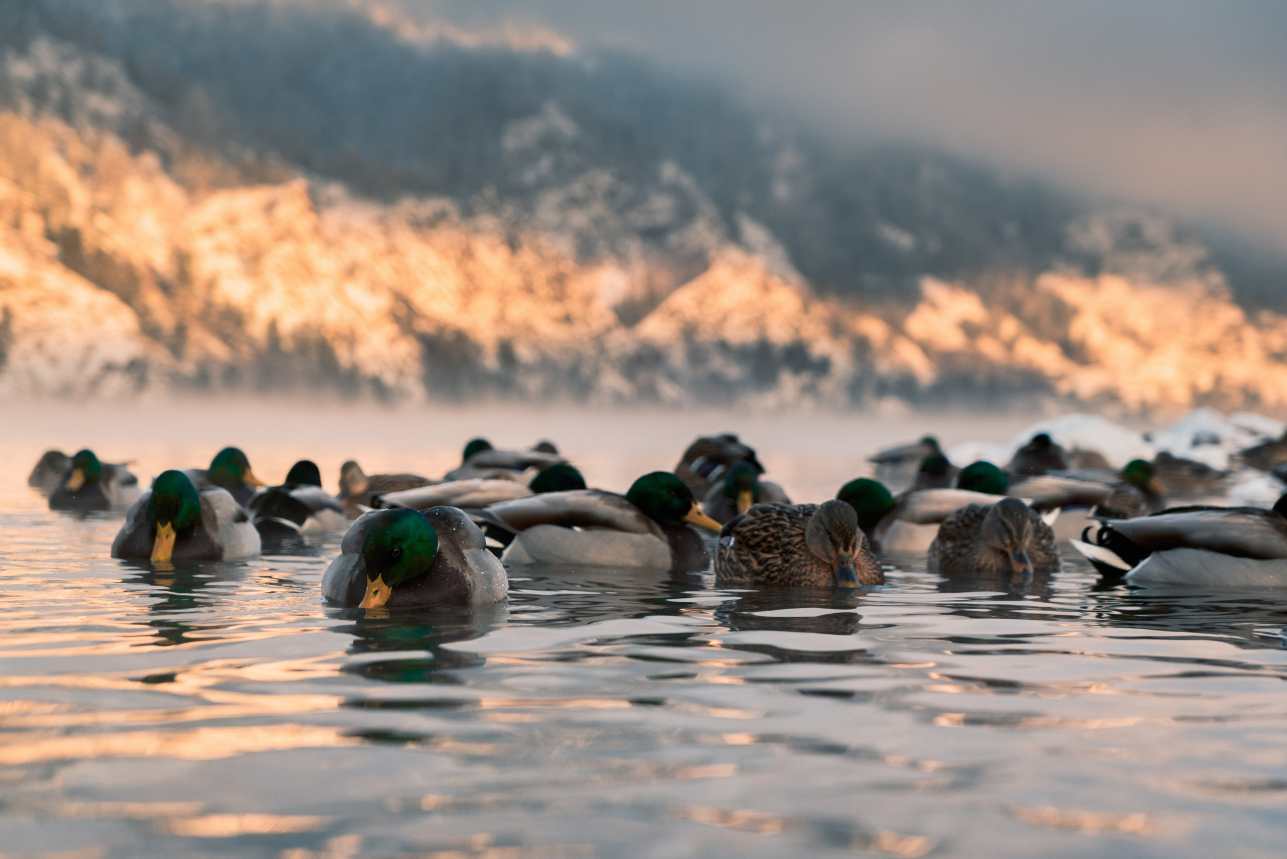 Красноярск и Дивногорск, Ноябрь 2023