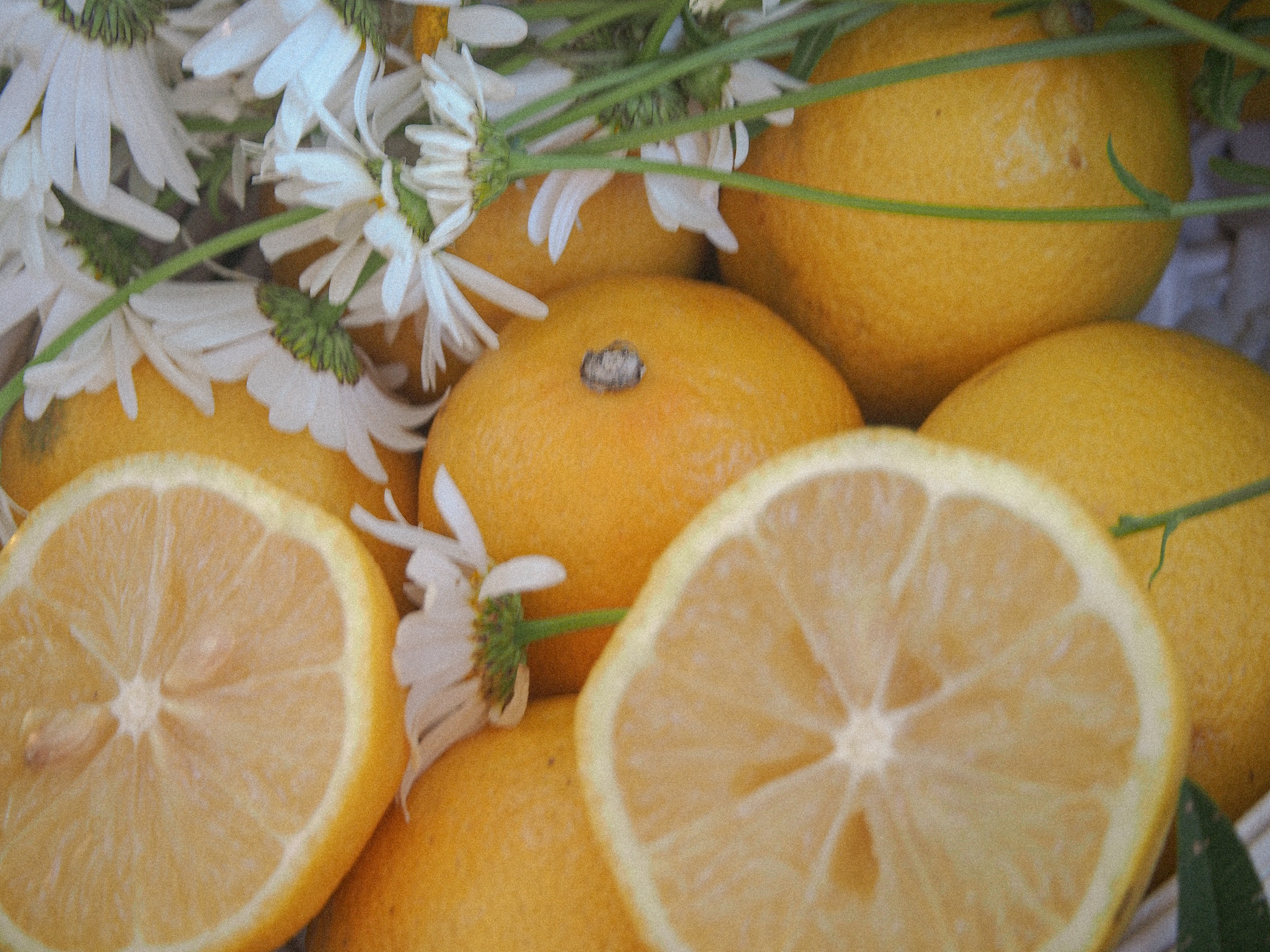 Аня. Фотограф Катерина Ивашова