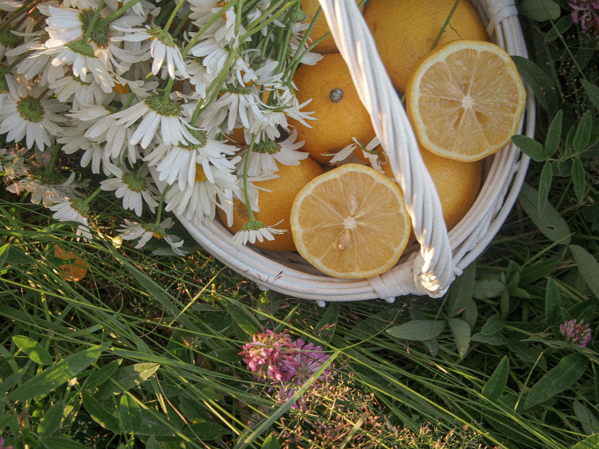 Аня. Фотограф Катерина Ивашова