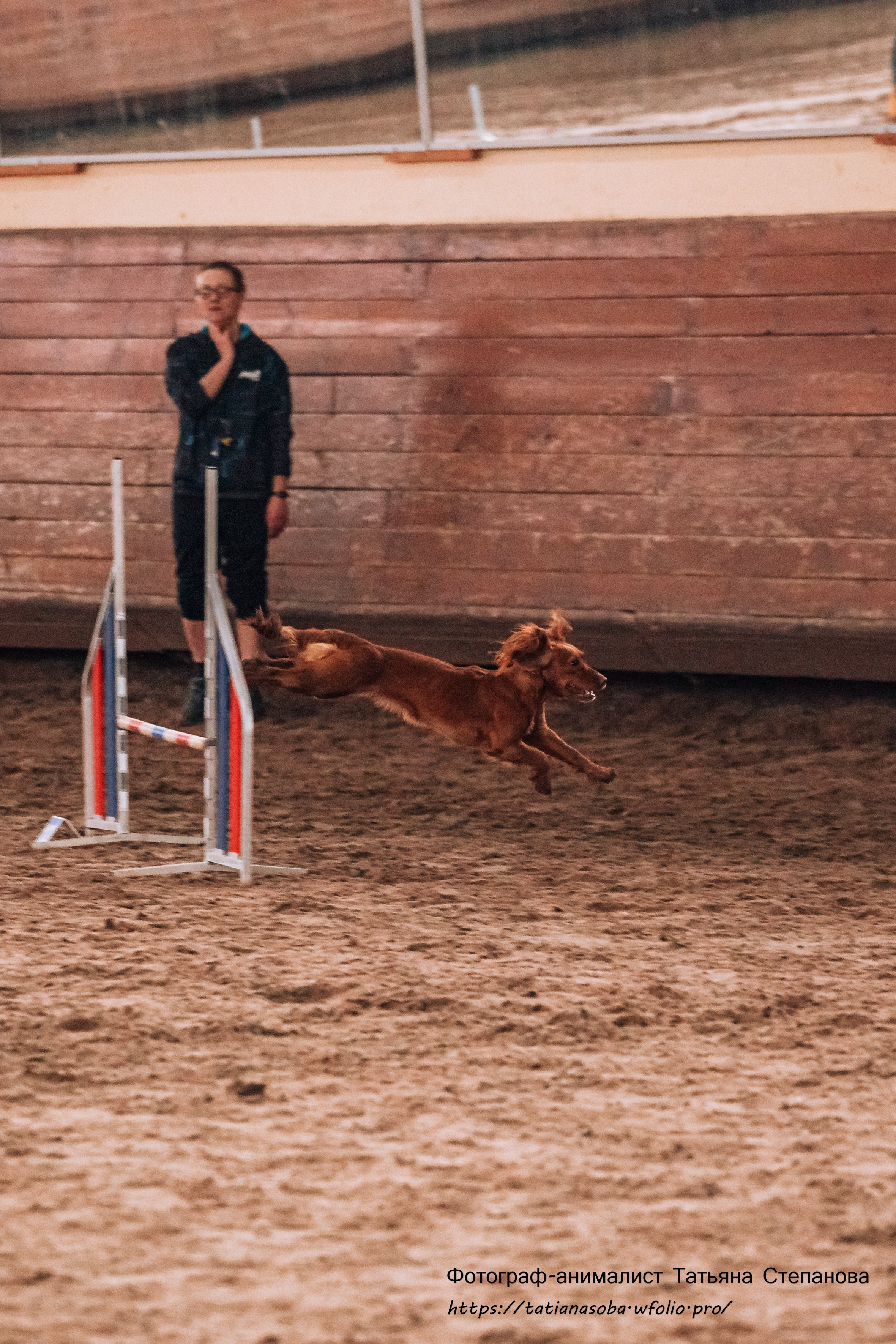 Соревнования по Аджилити 25.02.2024. Фотограф-анималист Татьяна Степанова