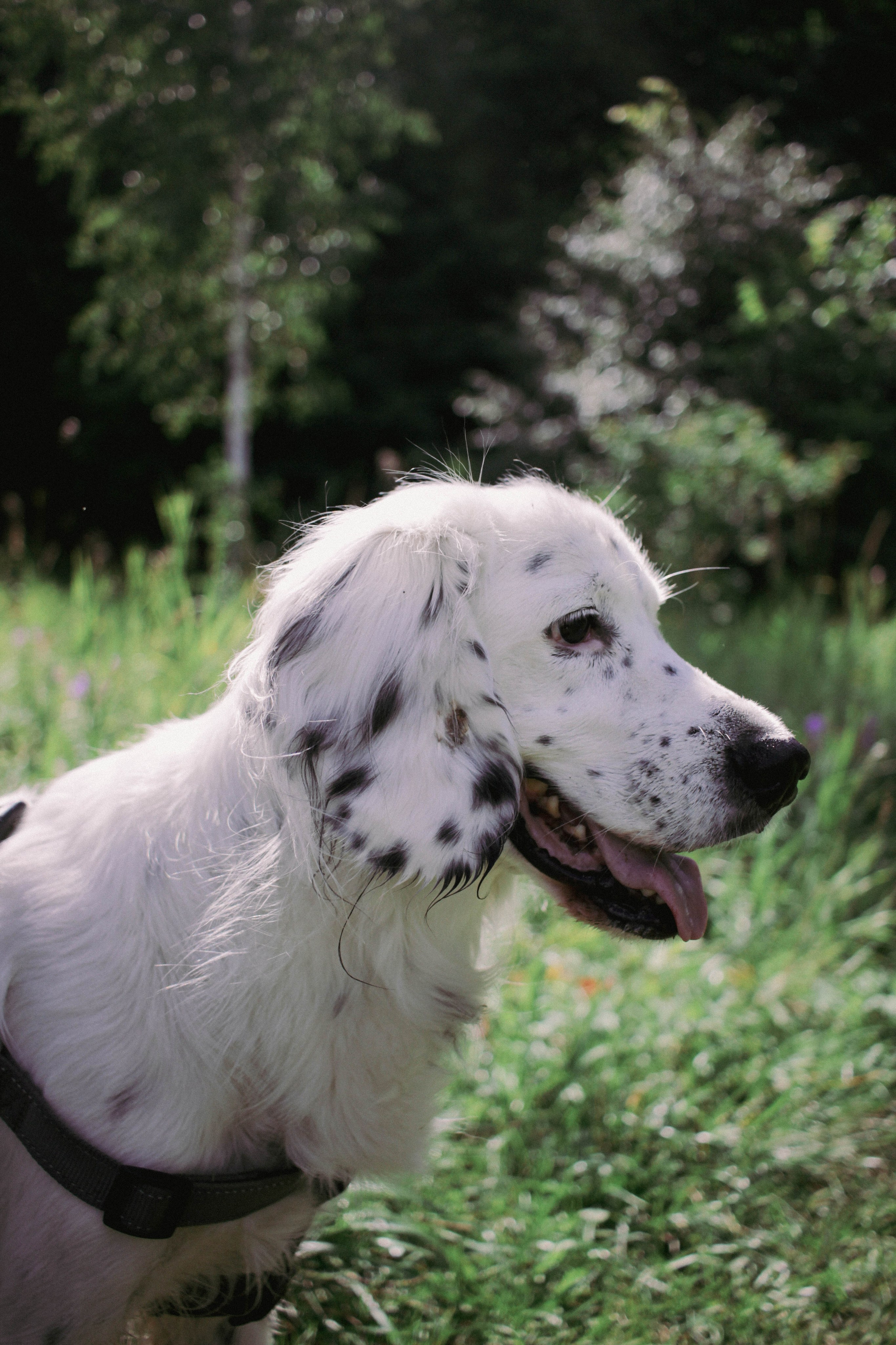 Yura and LosK. Фотограф в Казани / Регина Суфиянова