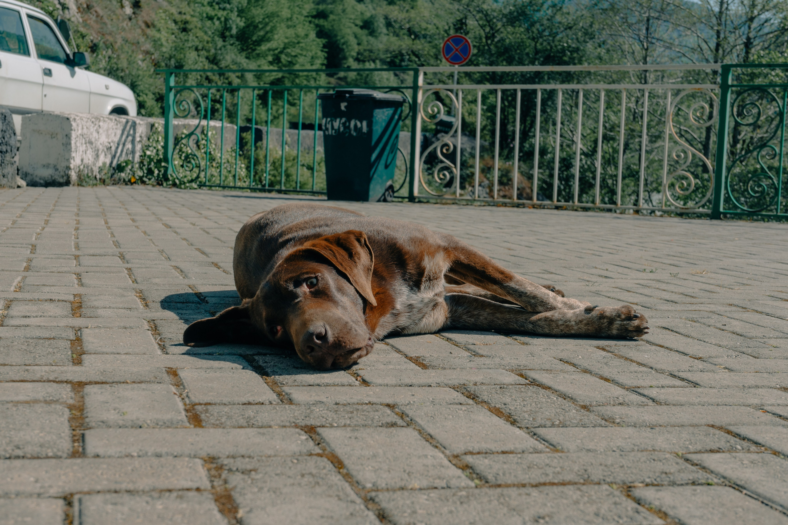 Сочи и Абхазия. Денис Марков — фотограф в Екатеринбурге