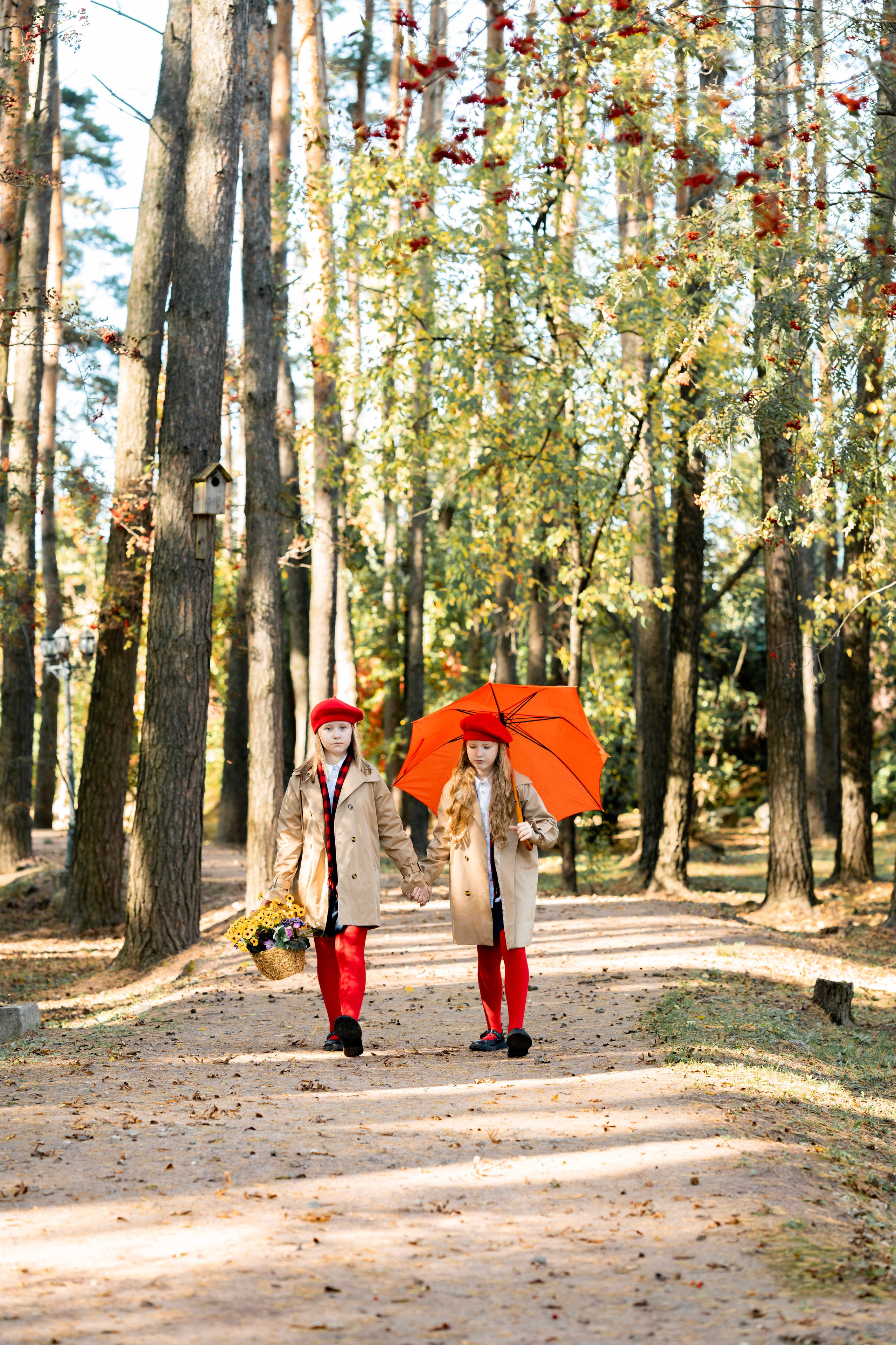 Осень 2. Фотограф Юлия Попова