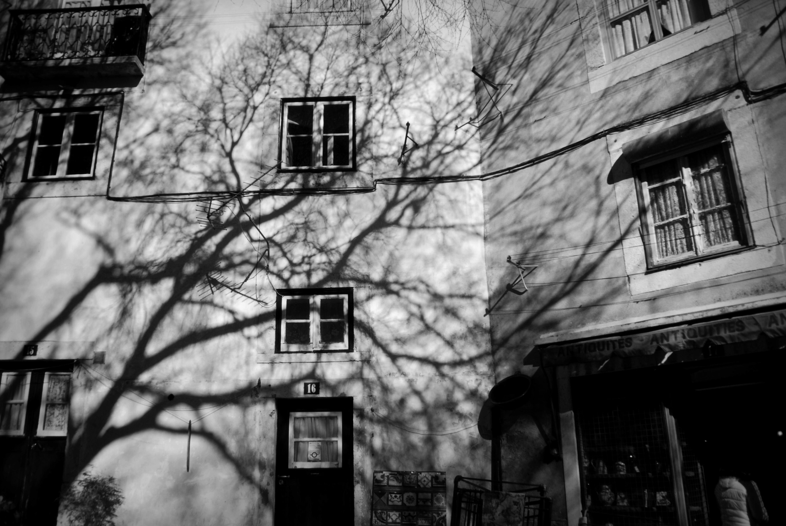 Работы. Свадебный фотограф в Москве Сафонова Анна