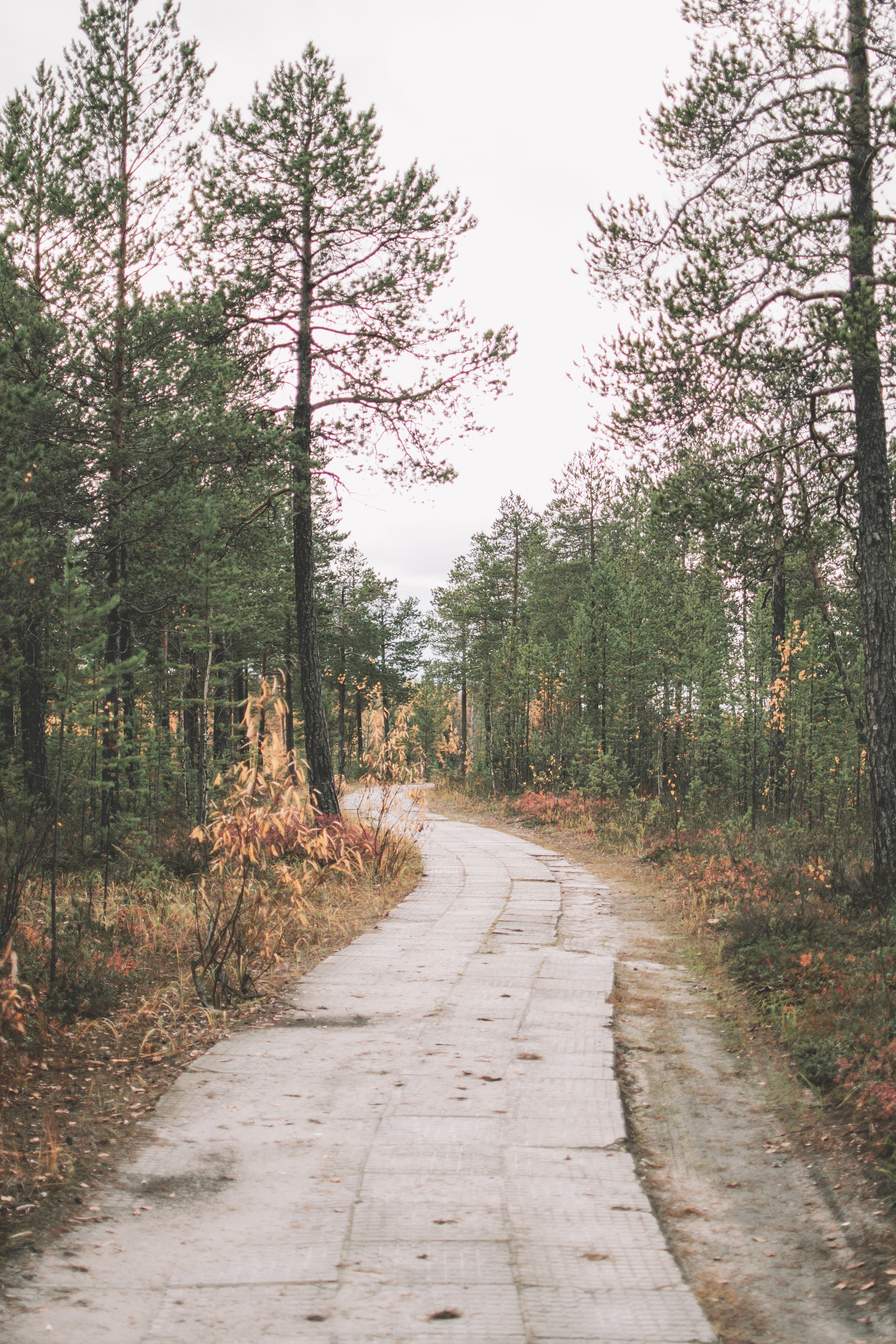 Муслимат. Семейный и свадебный фотограф Губкинский и Ставрополь