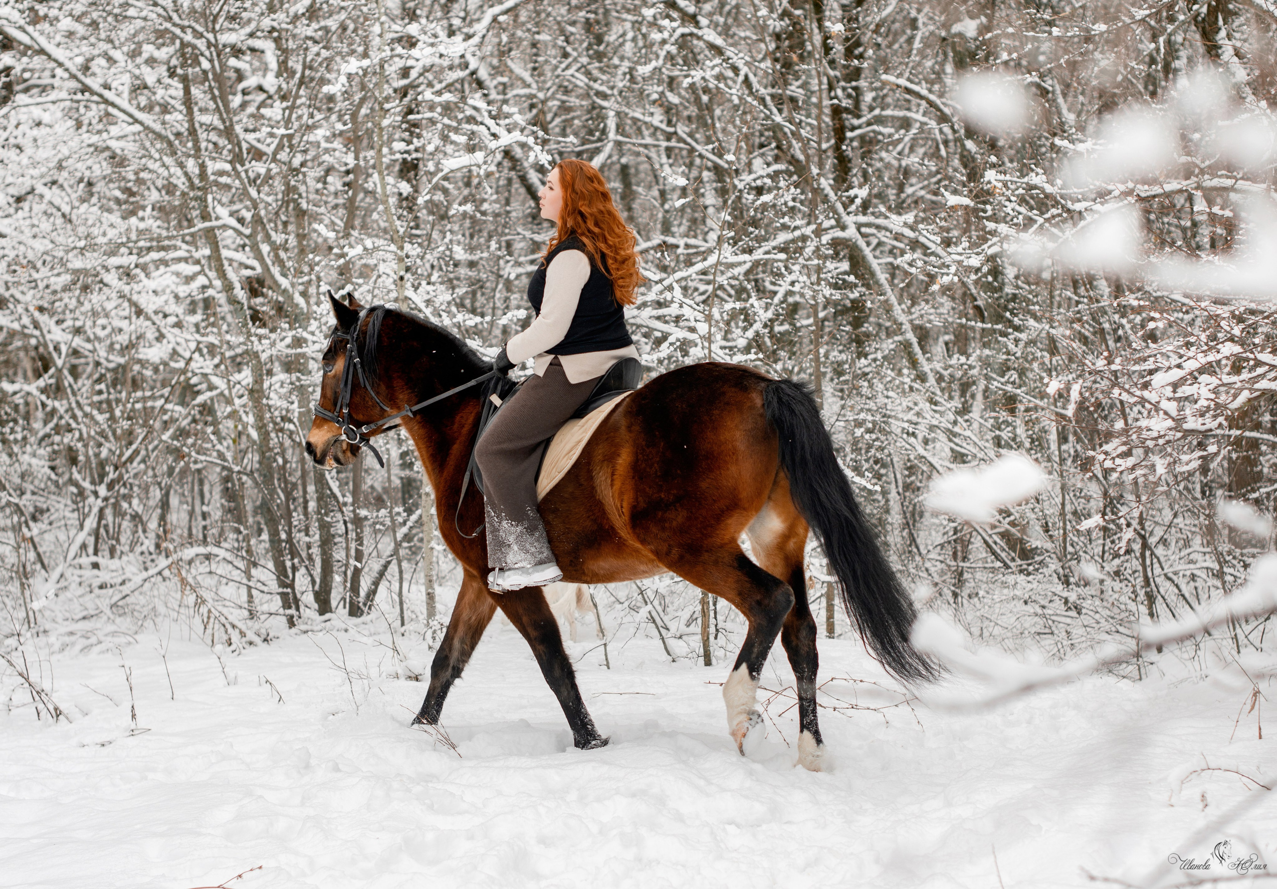 Елизавета и Холмогор. Конный фотограф в Саратове Юлия Иванова