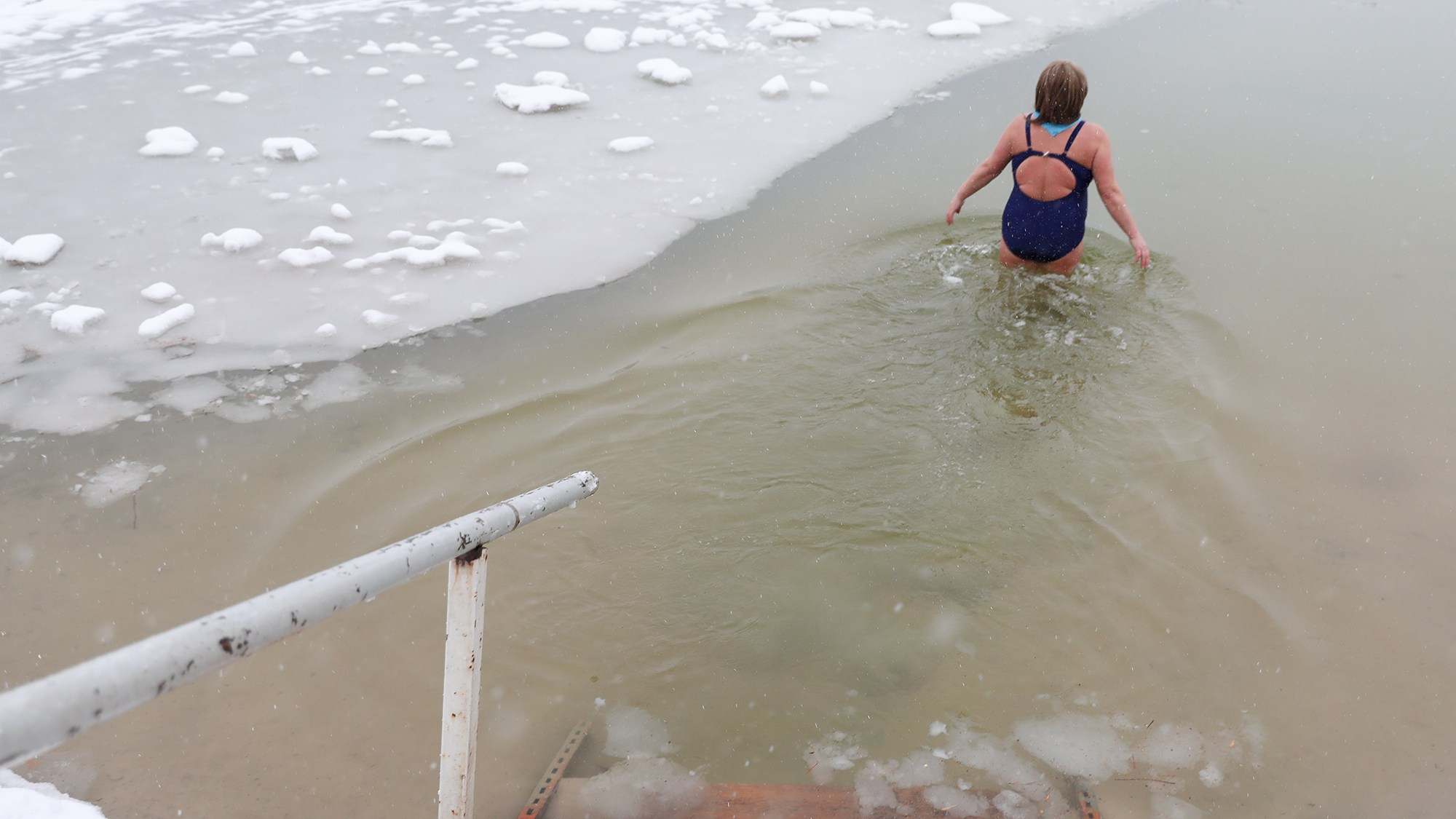 Моржи. Reporter