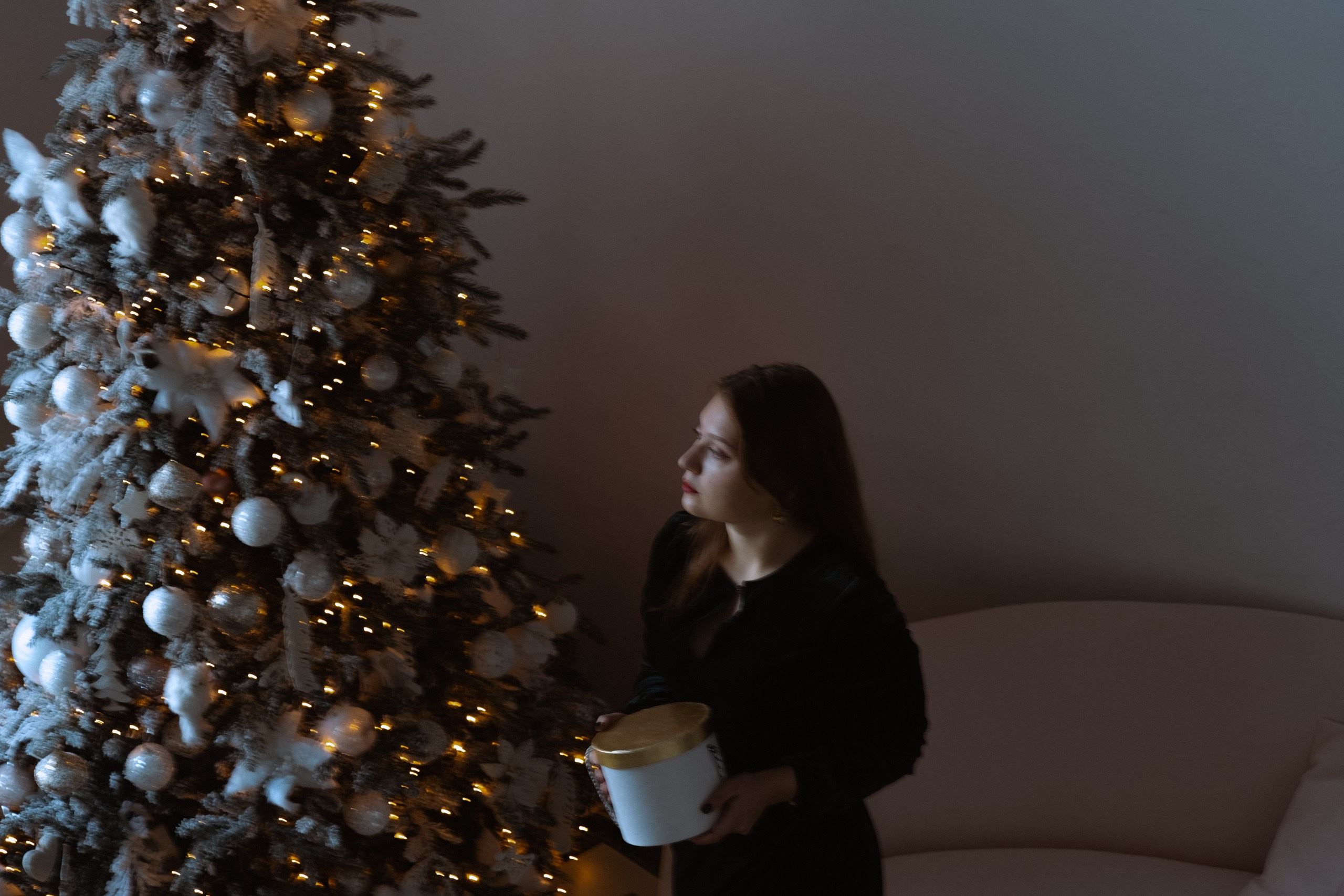 Новогодний стиль. Профессиональный фотограф, Санкт-Петербург — Виктория Богомолова