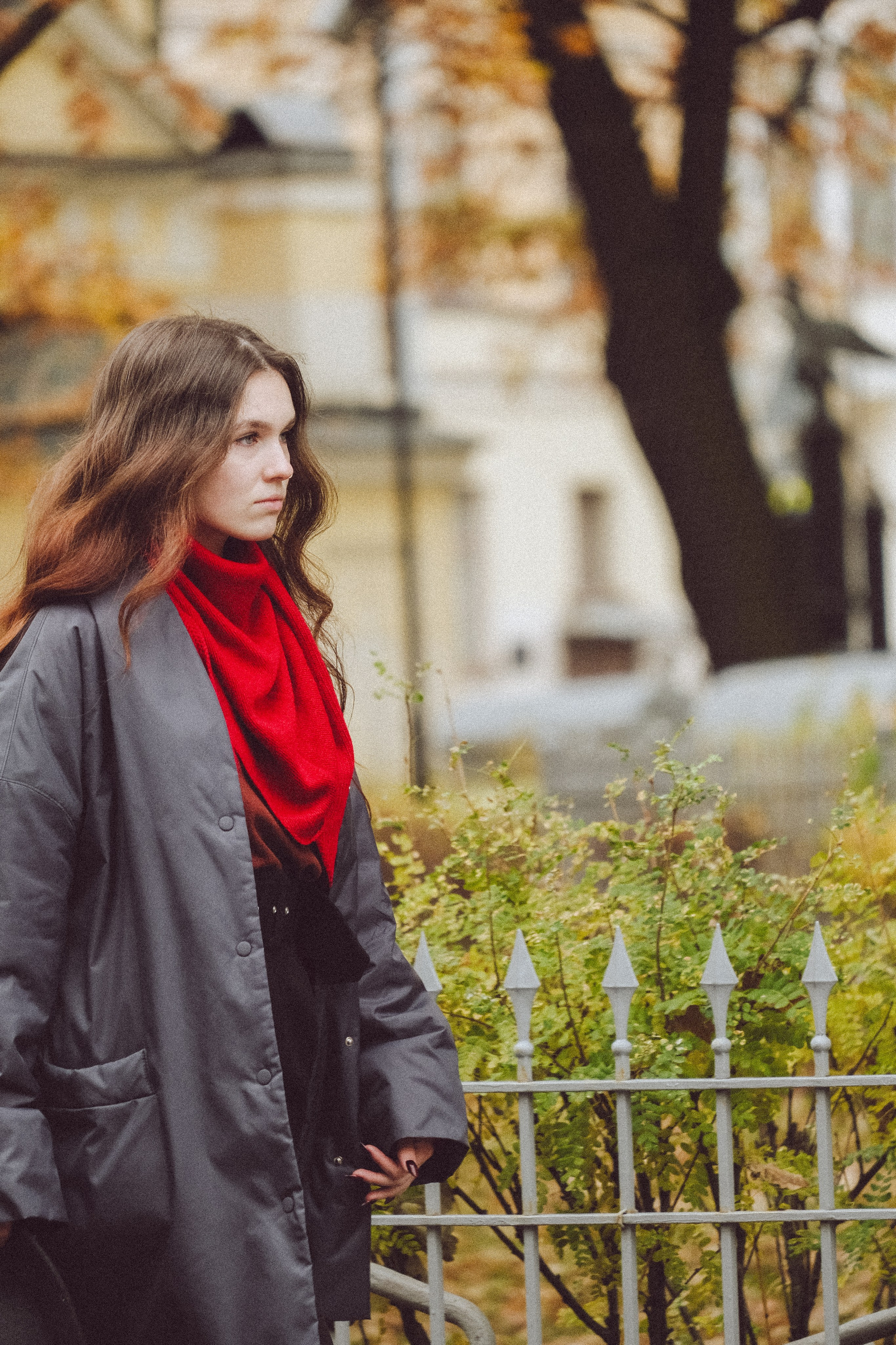 Осень. Профессиональный фотограф, Санкт-Петербург — Виктория Богомолова