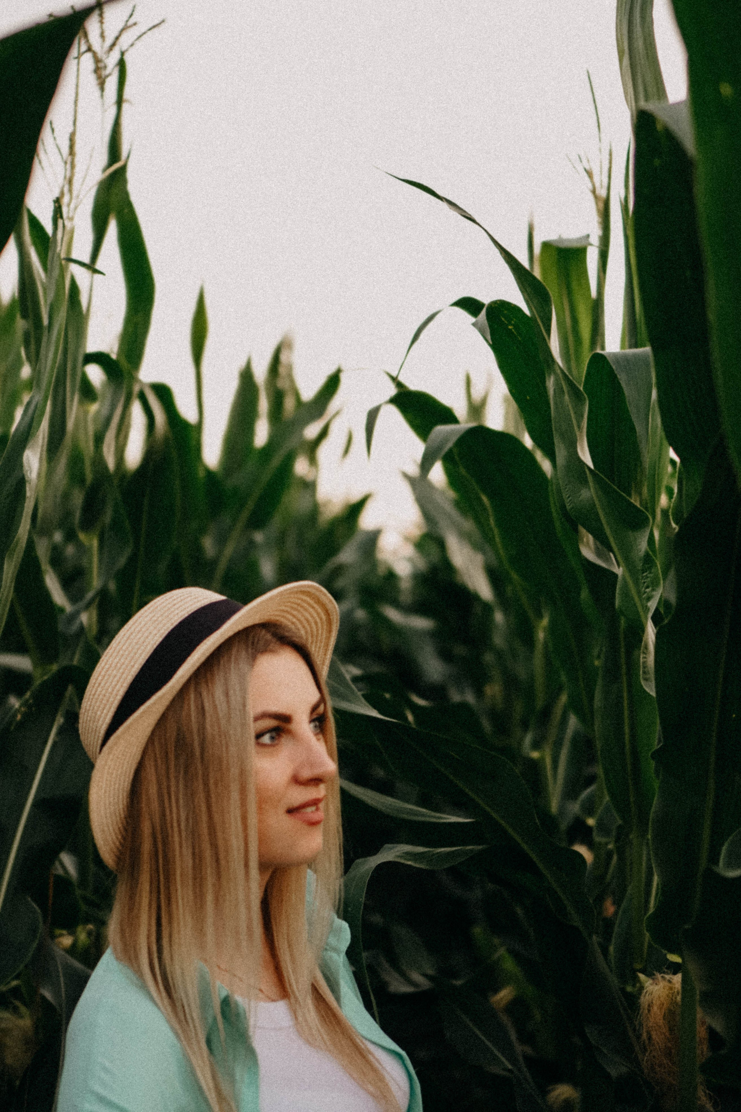 Летний вечер. Профессиональный фотограф, Санкт-Петербург — Виктория Богомолова