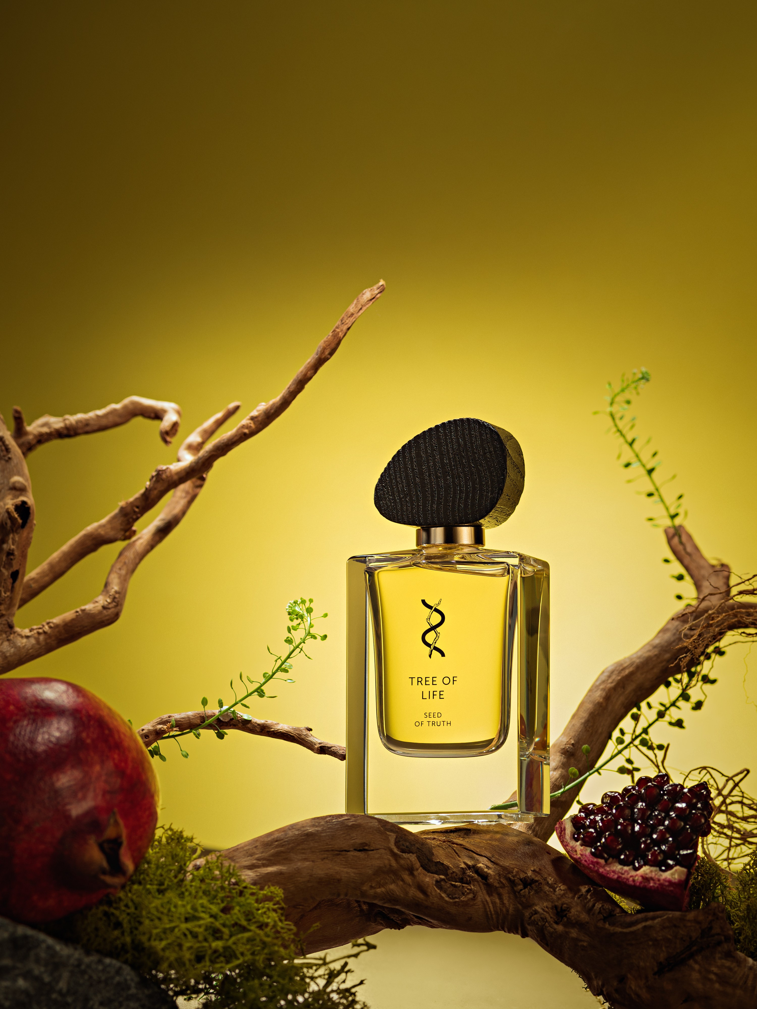 BROCARD GROUP. Асель Рембекова