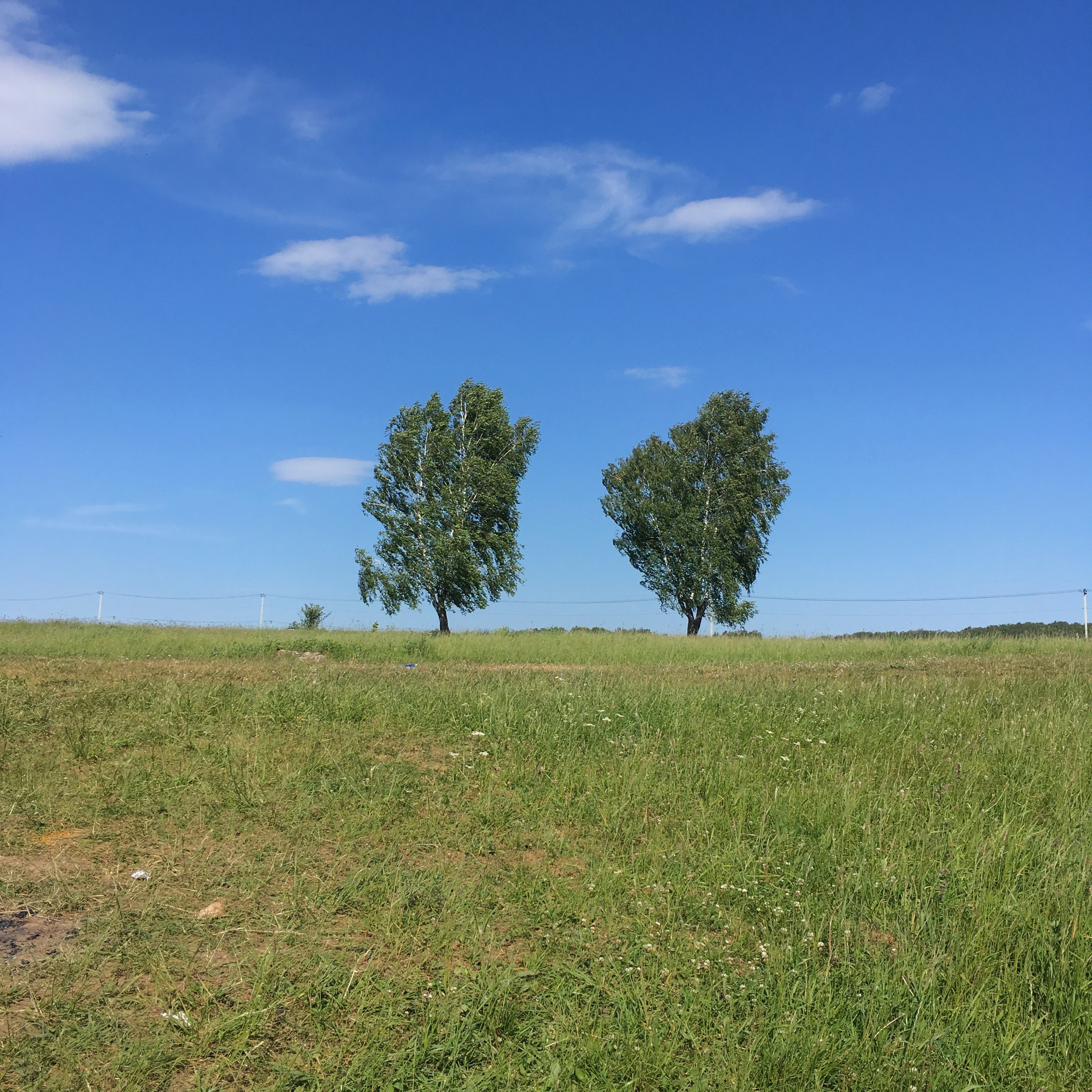 Львовская -18. Своя Мастерская