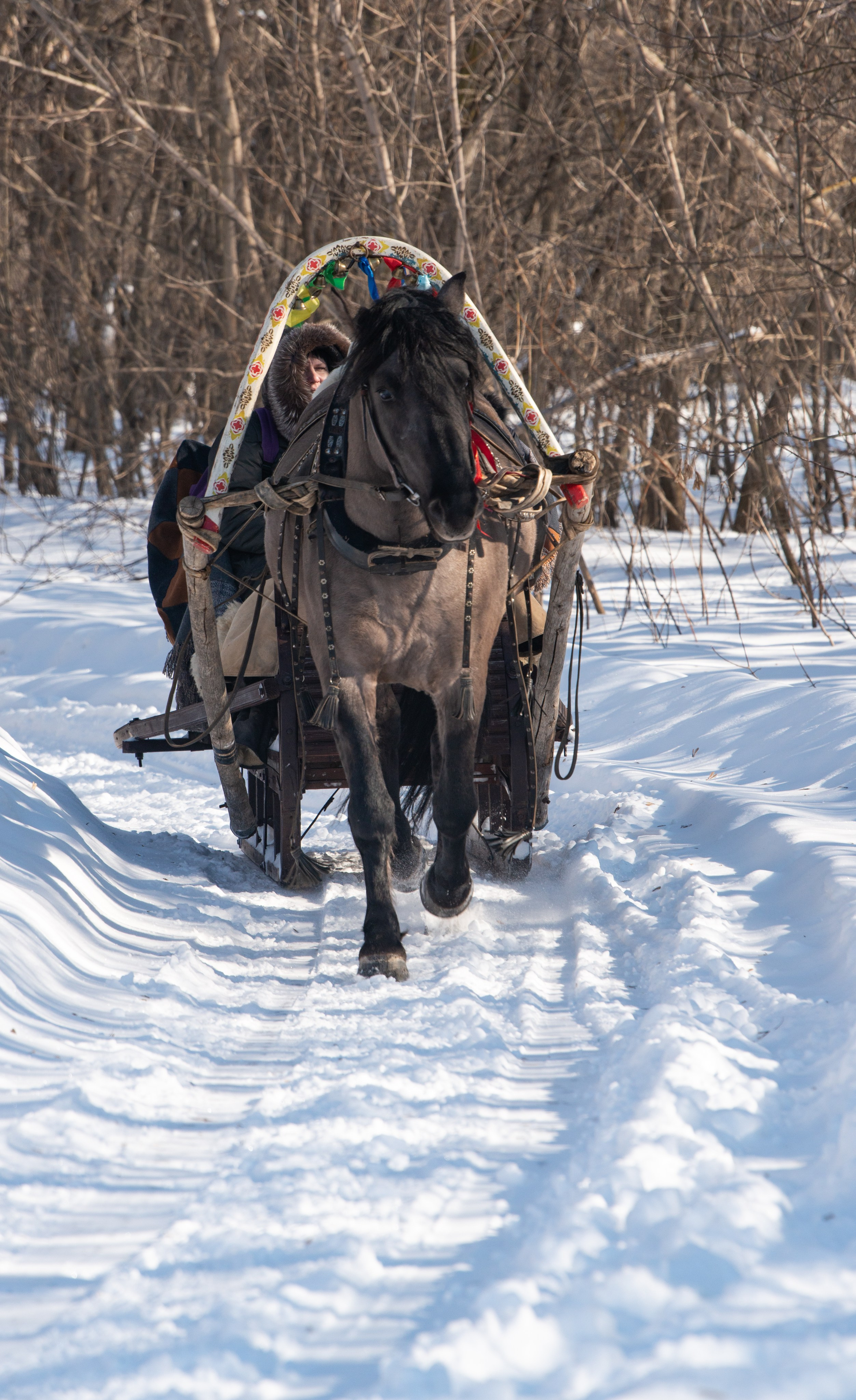 Масленичные гулянья в Боковке. Конный фотограф в Саратове Юлия Иванова