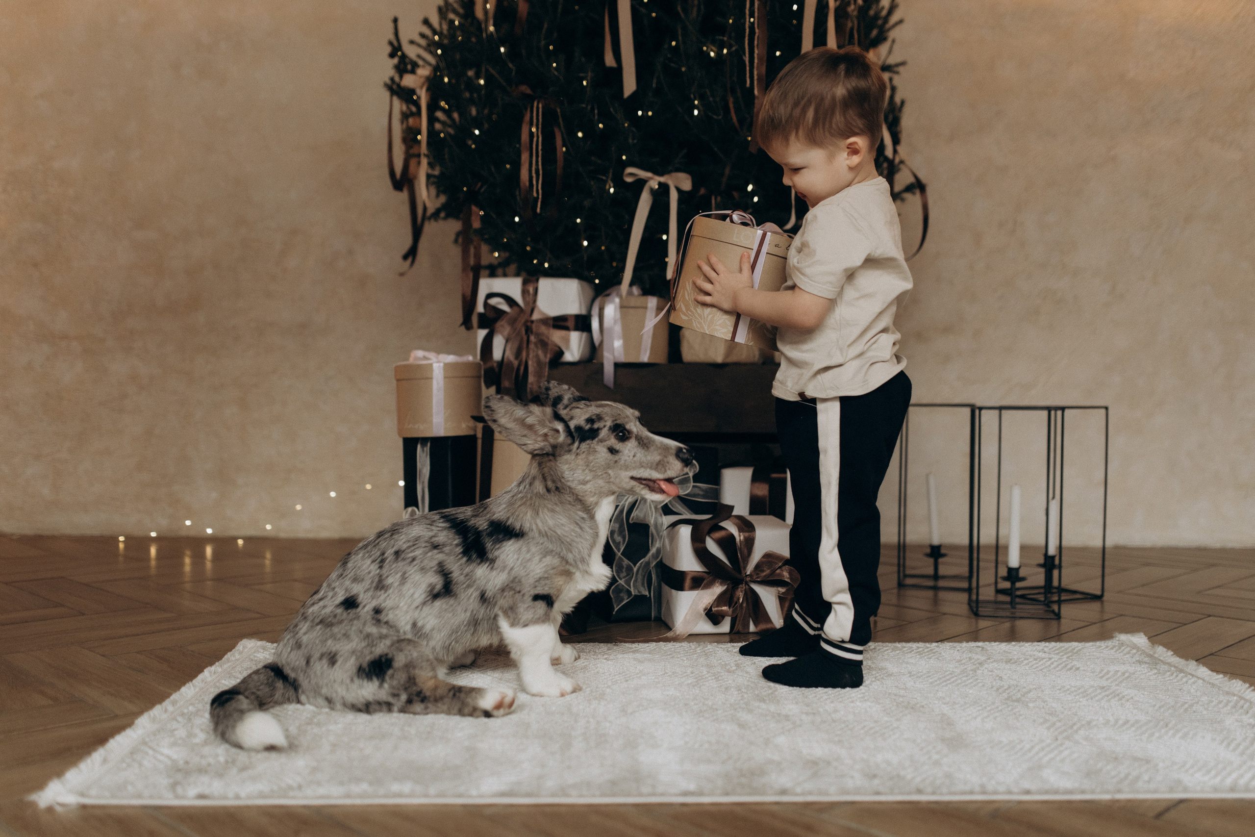 Фотосессия в WOOD