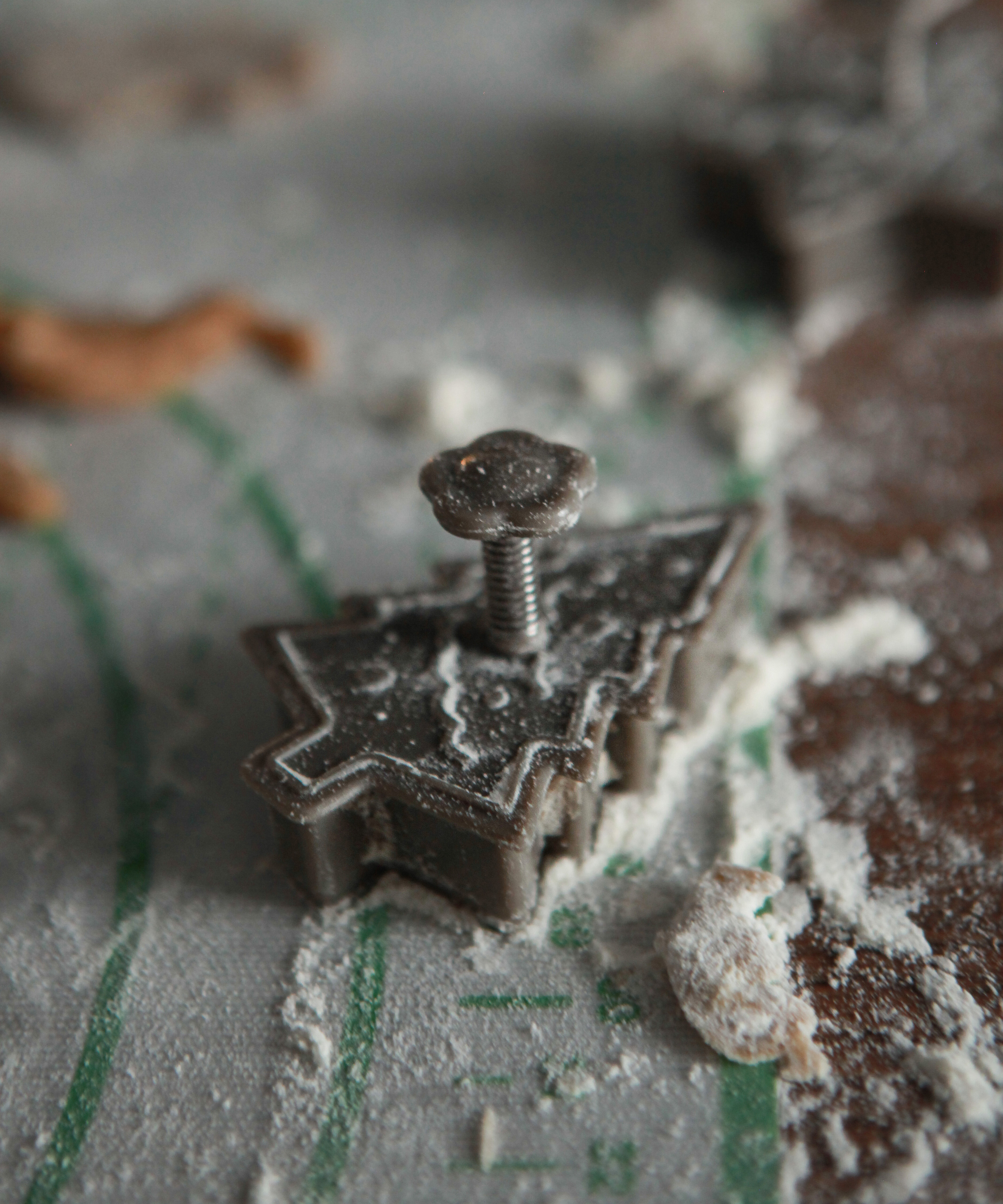 Имбирное печенье. Фотограф Анастасия Кузьменко