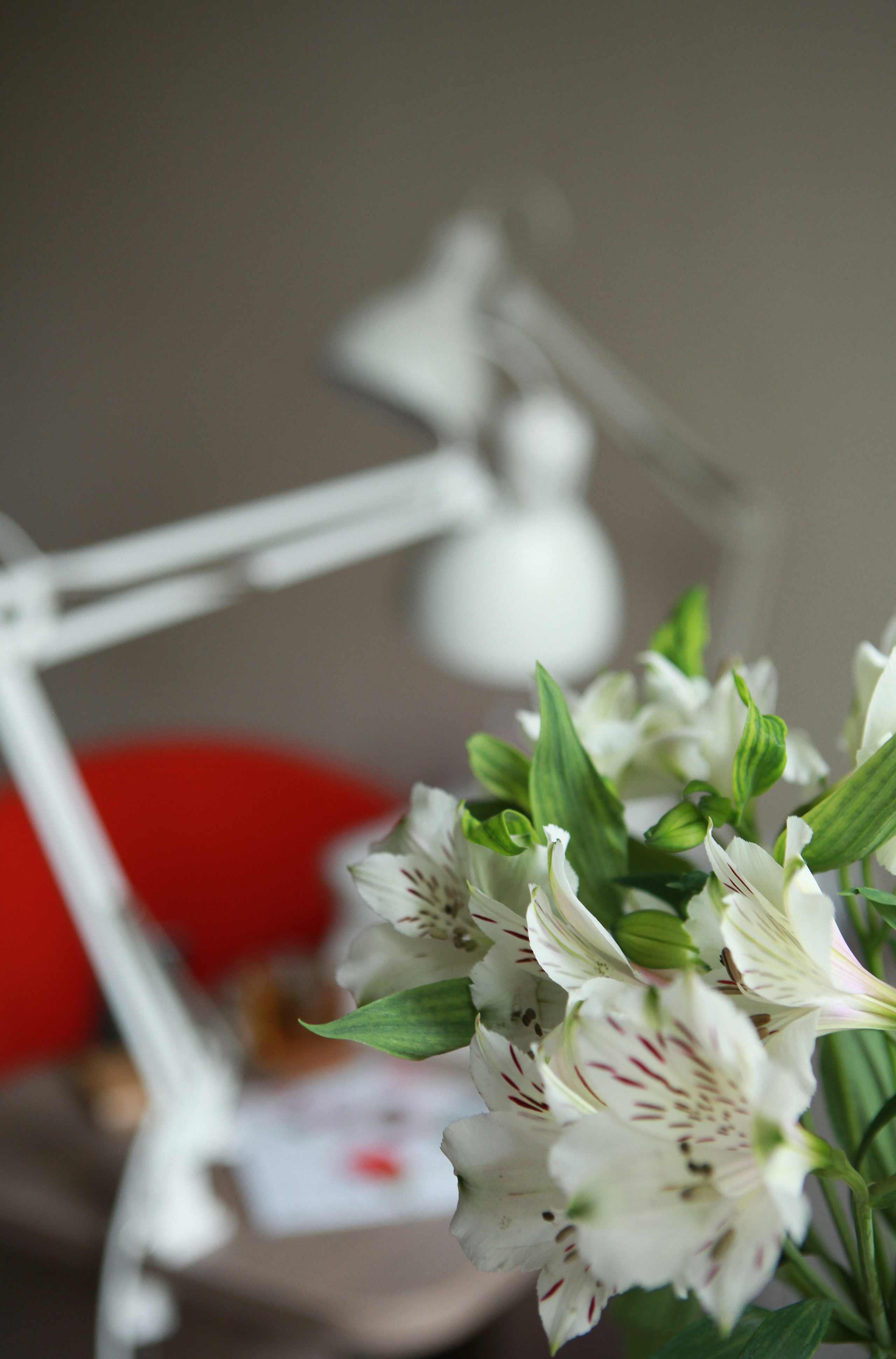 Мастер ногтевого сервиса. Фотограф Анастасия Кузьменко