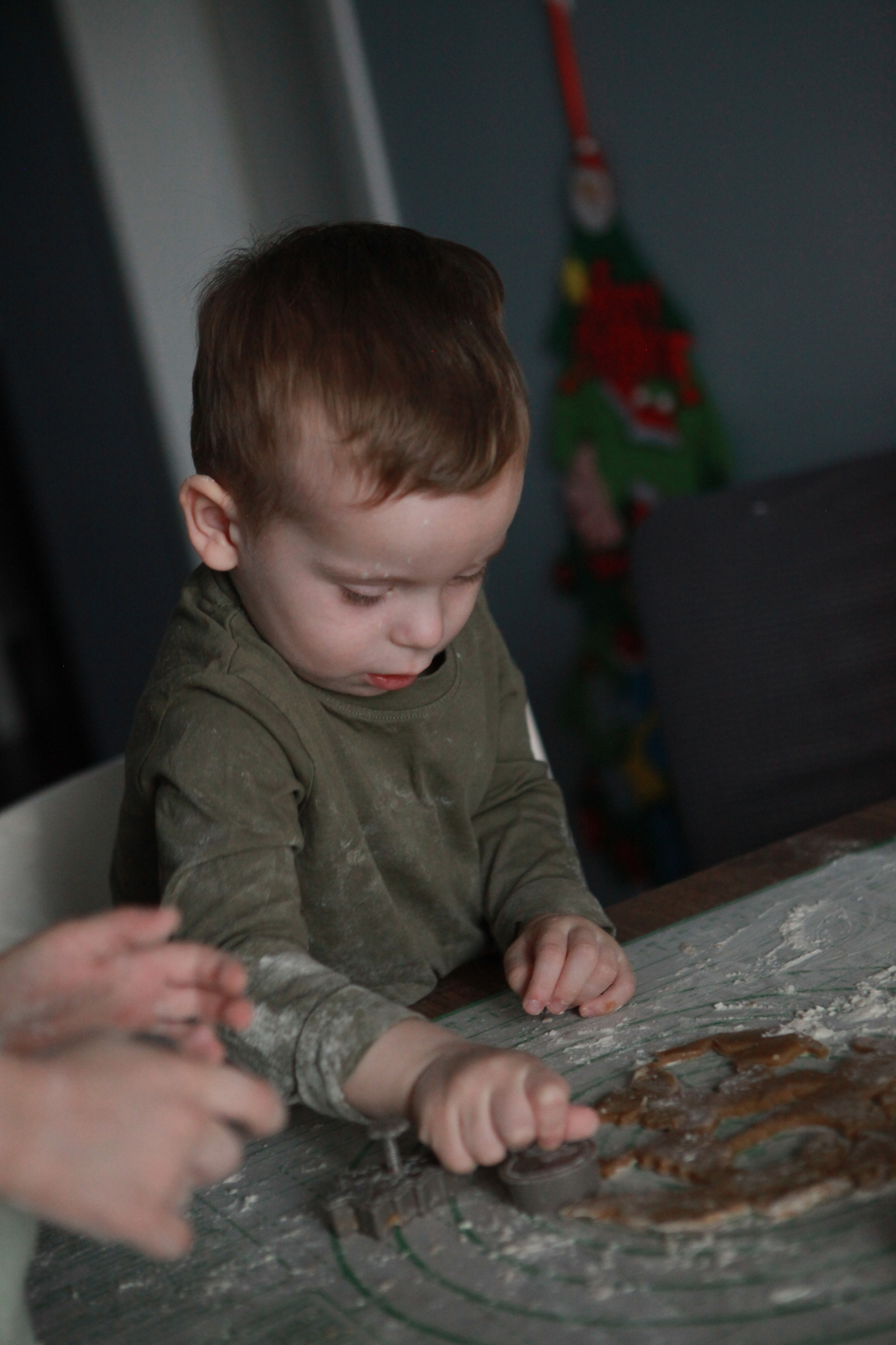 Имбирное печенье. Фотограф Анастасия Кузьменко