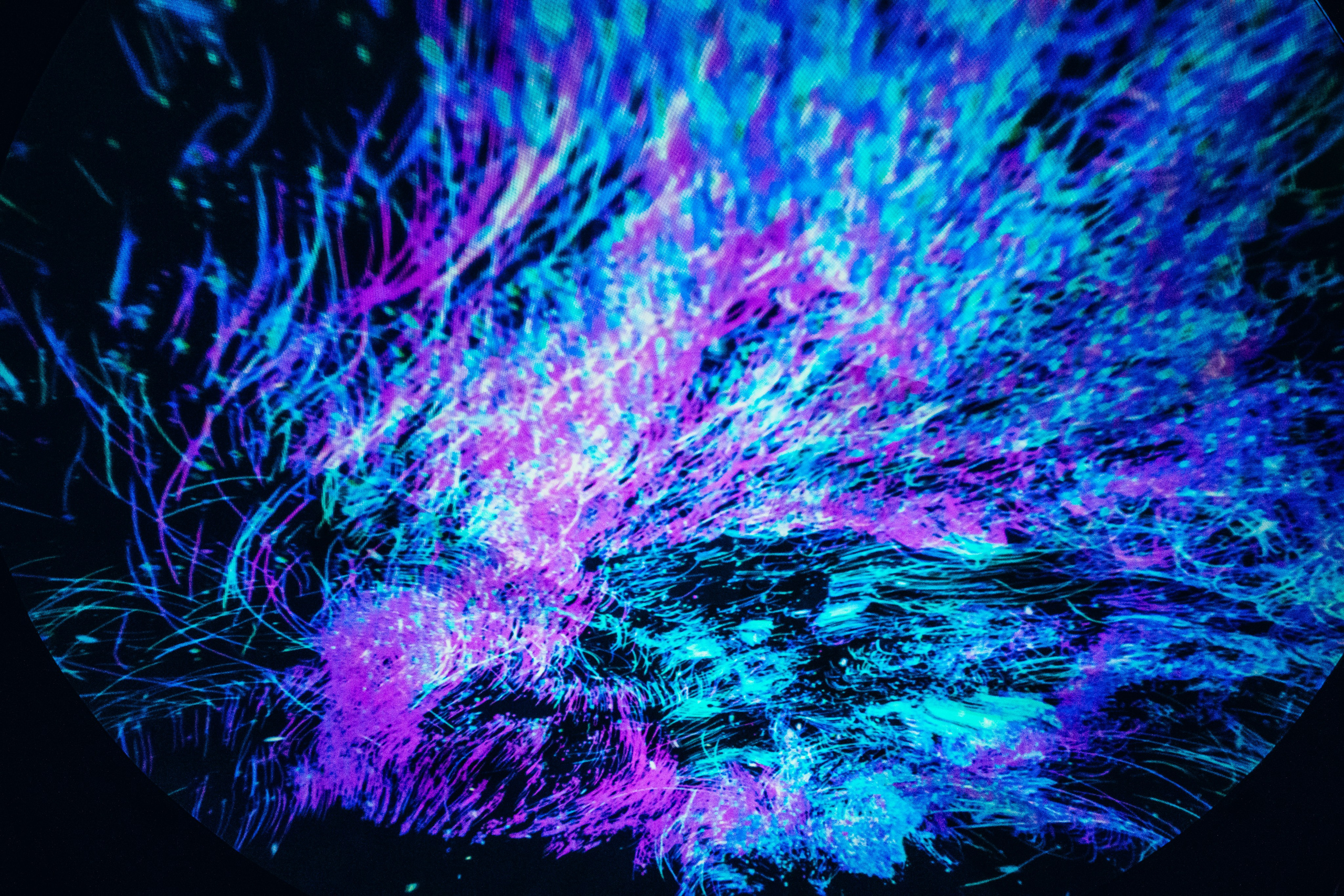 NUR 2025. Главная